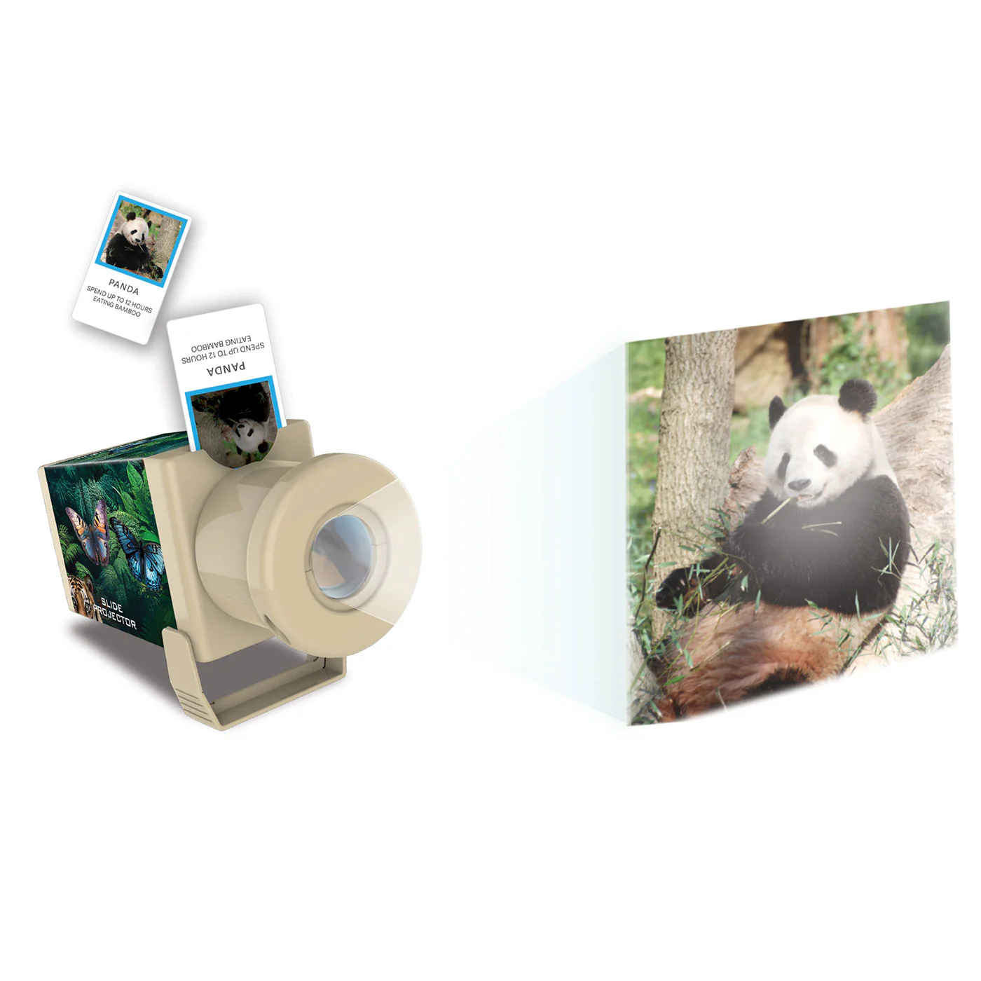 4M: KidzLabs - Slide Projector Wildlife - Image 2
