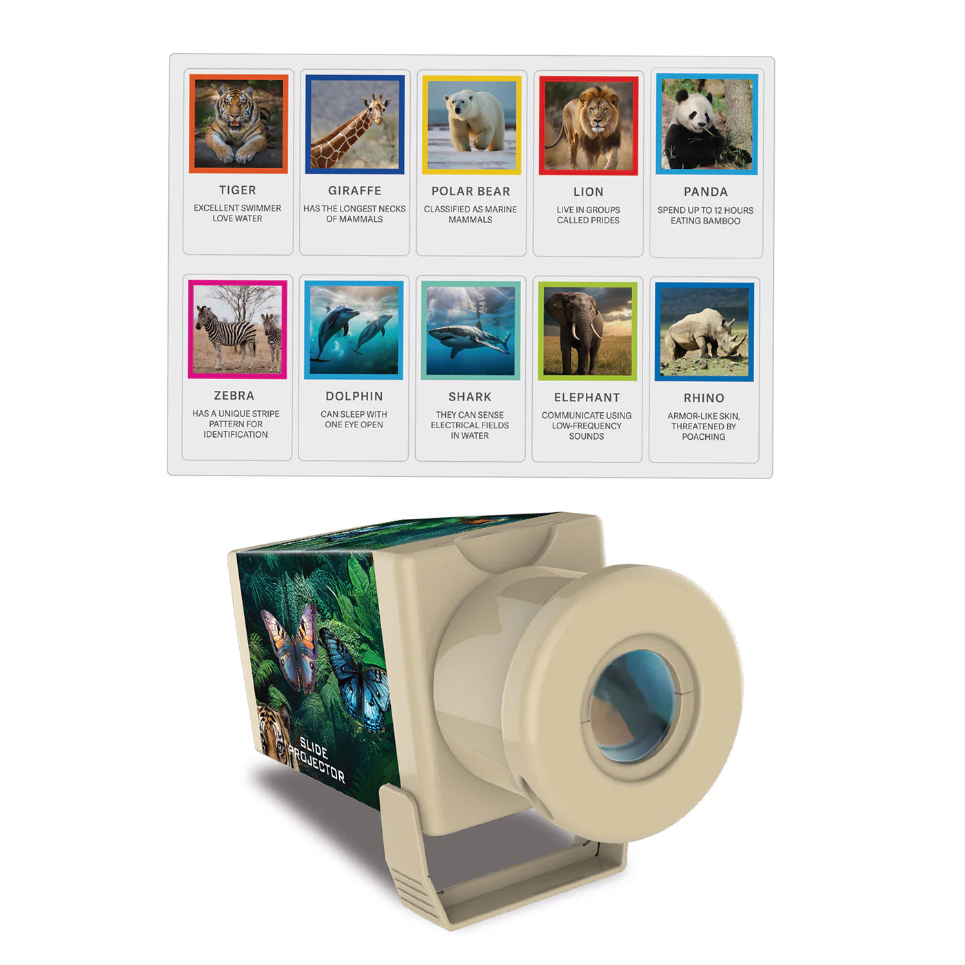 4M: KidzLabs - Slide Projector Wildlife - Image 3