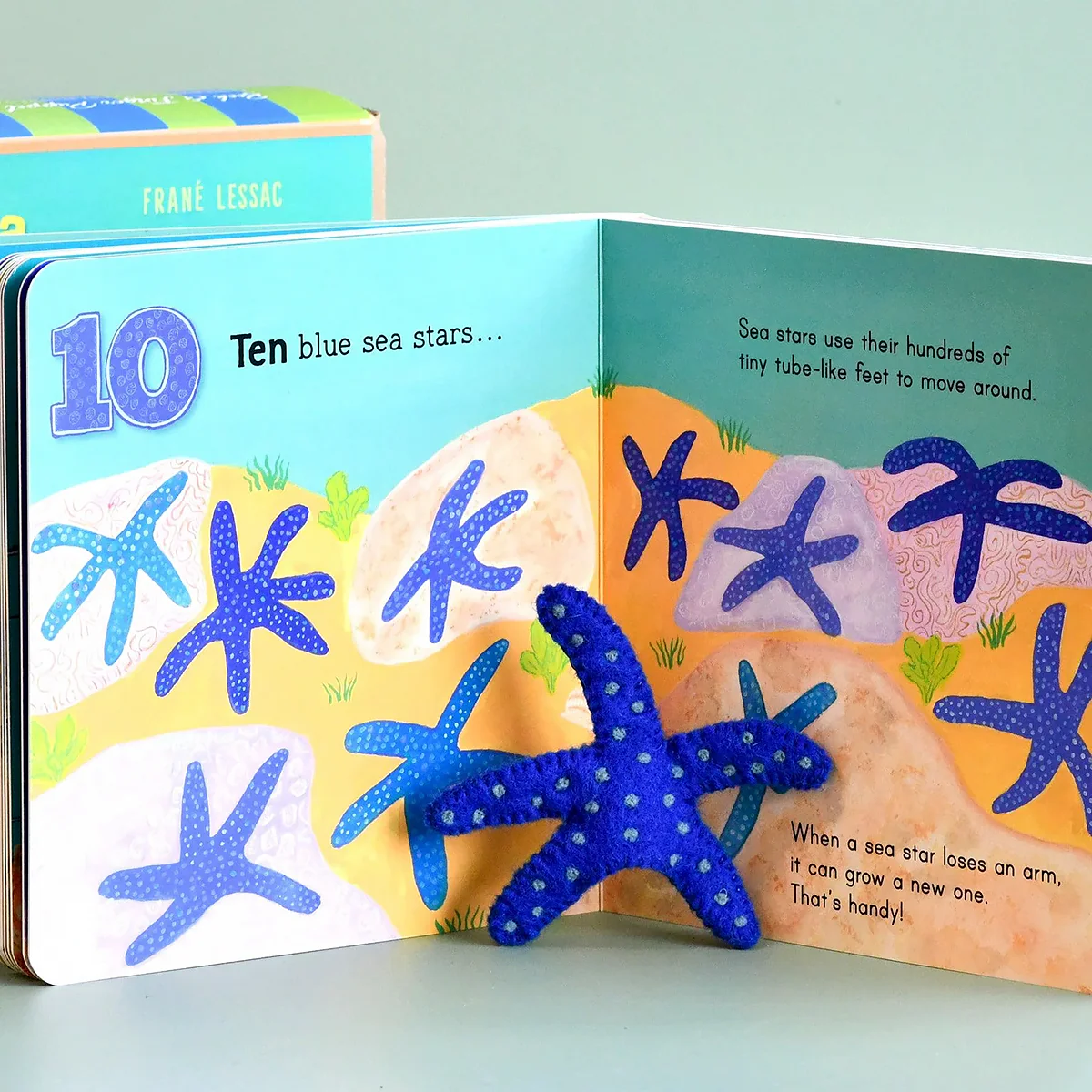 Australia Under the Sea 1, 2, 3 by Frané Lessac - Book and Finger Puppet Set - Image 3