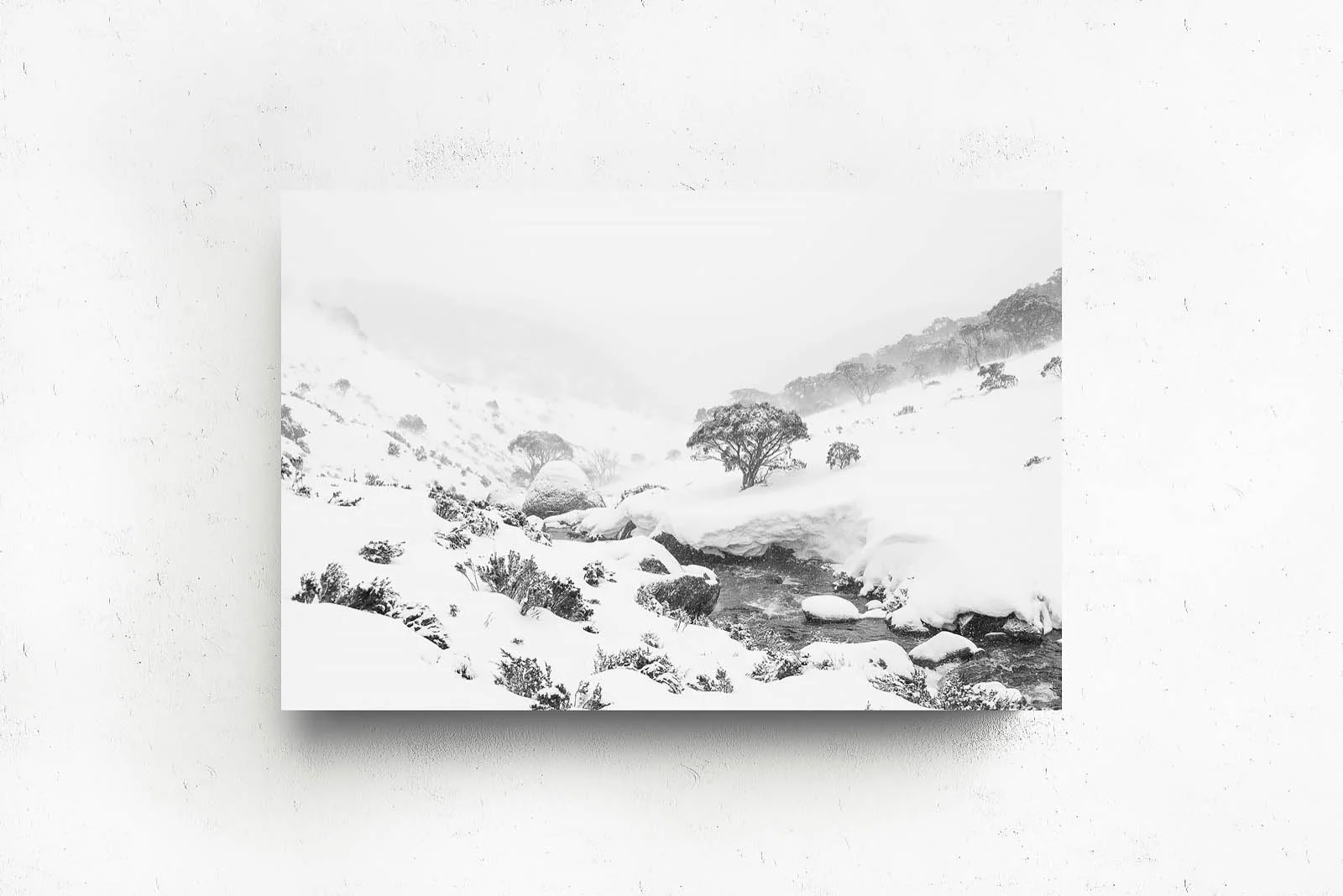 Australian Blizzard' by Charles Davis - Image 2