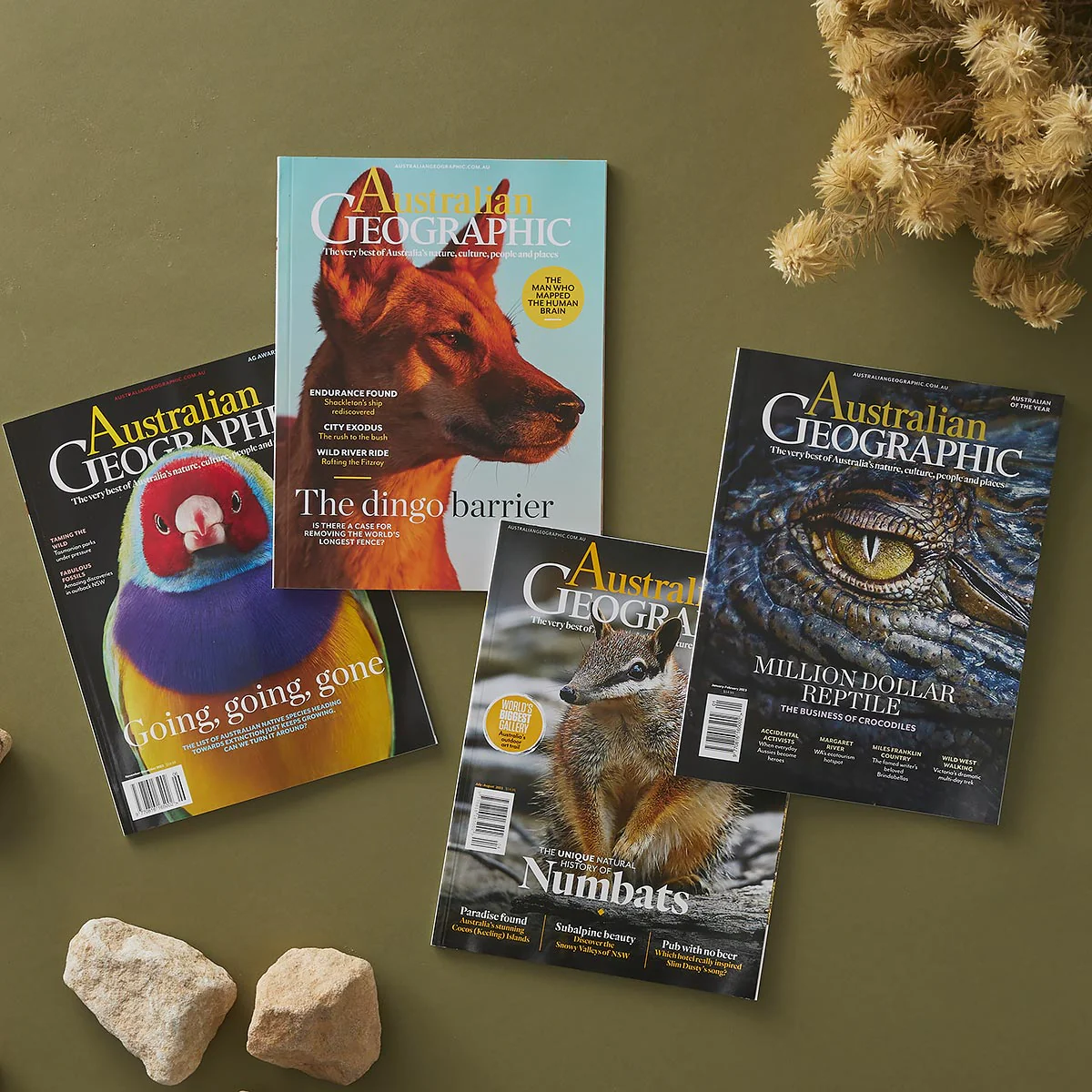 Australian Geographic 1 Year (6 PLUS 2 BONUS ISSUES) Gift Subscription + Our Country Book - Image 6