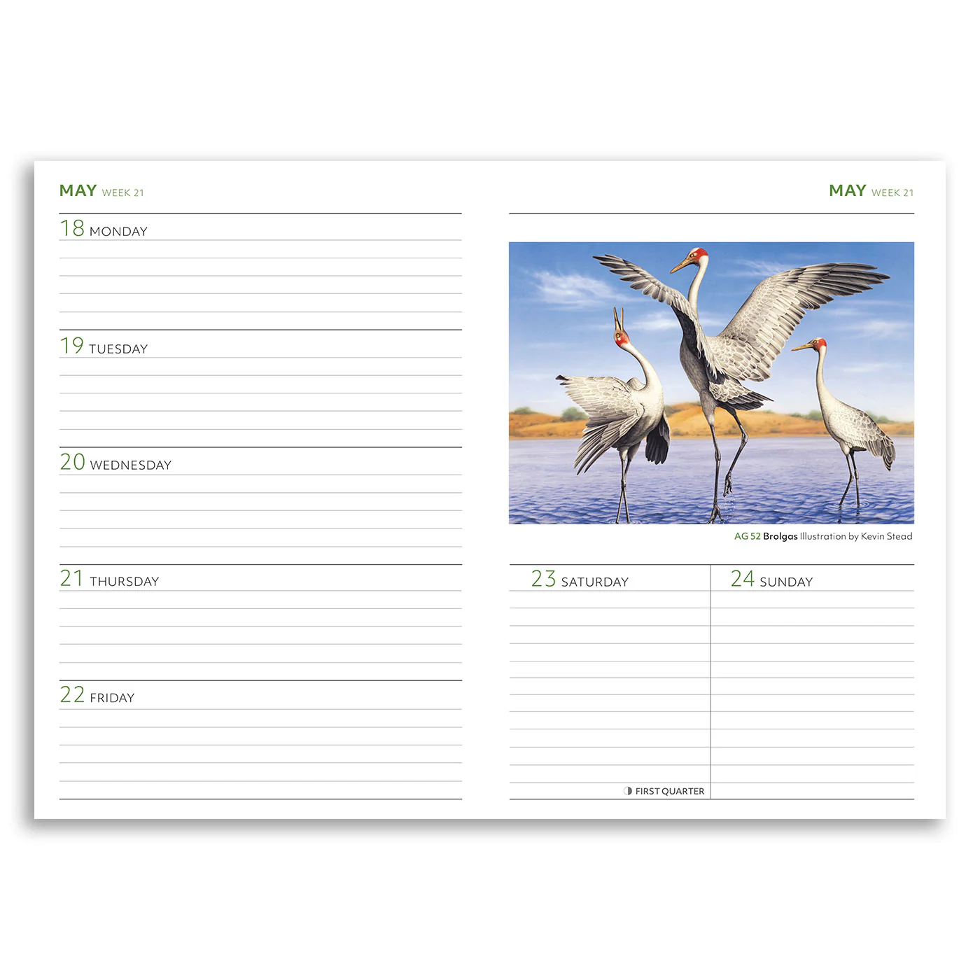 Australian Geographic Special Edition 40th Anniversary Diary 2026 - Image 4