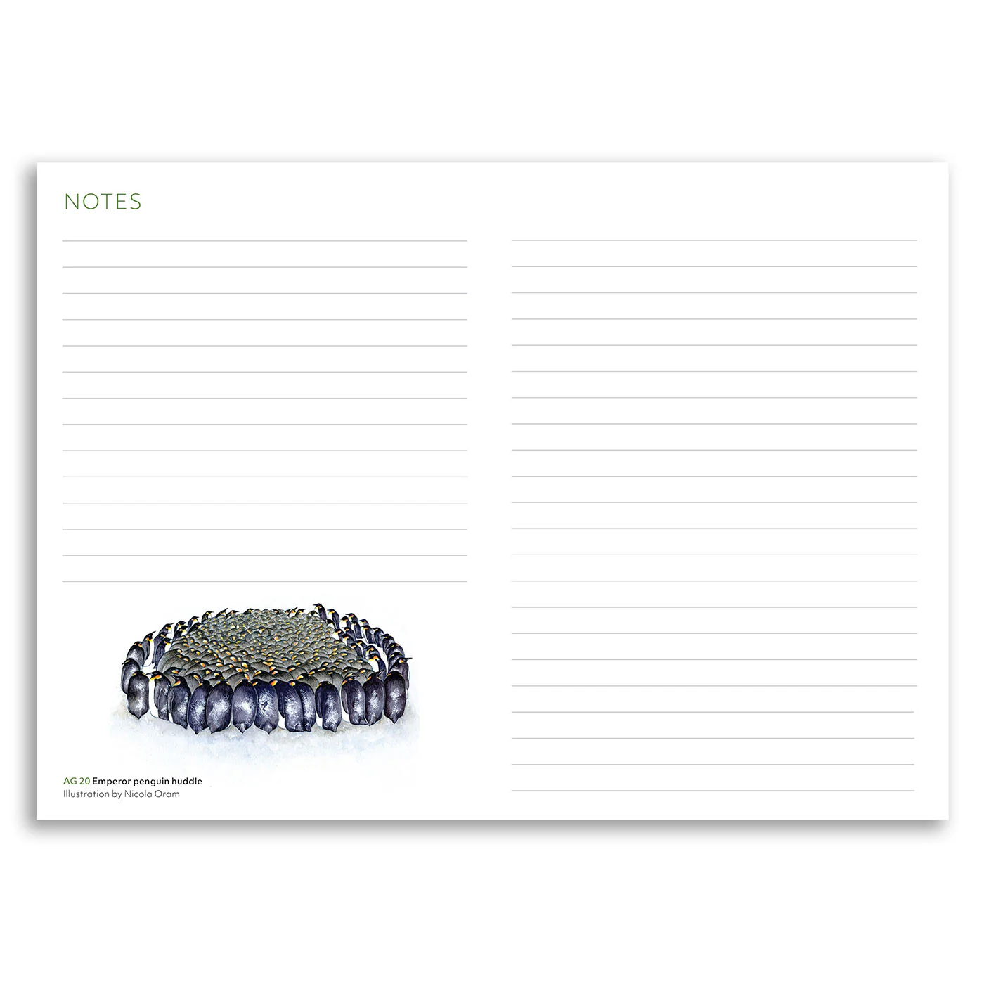Australian Geographic Special Edition 40th Anniversary Diary 2026 - Image 6