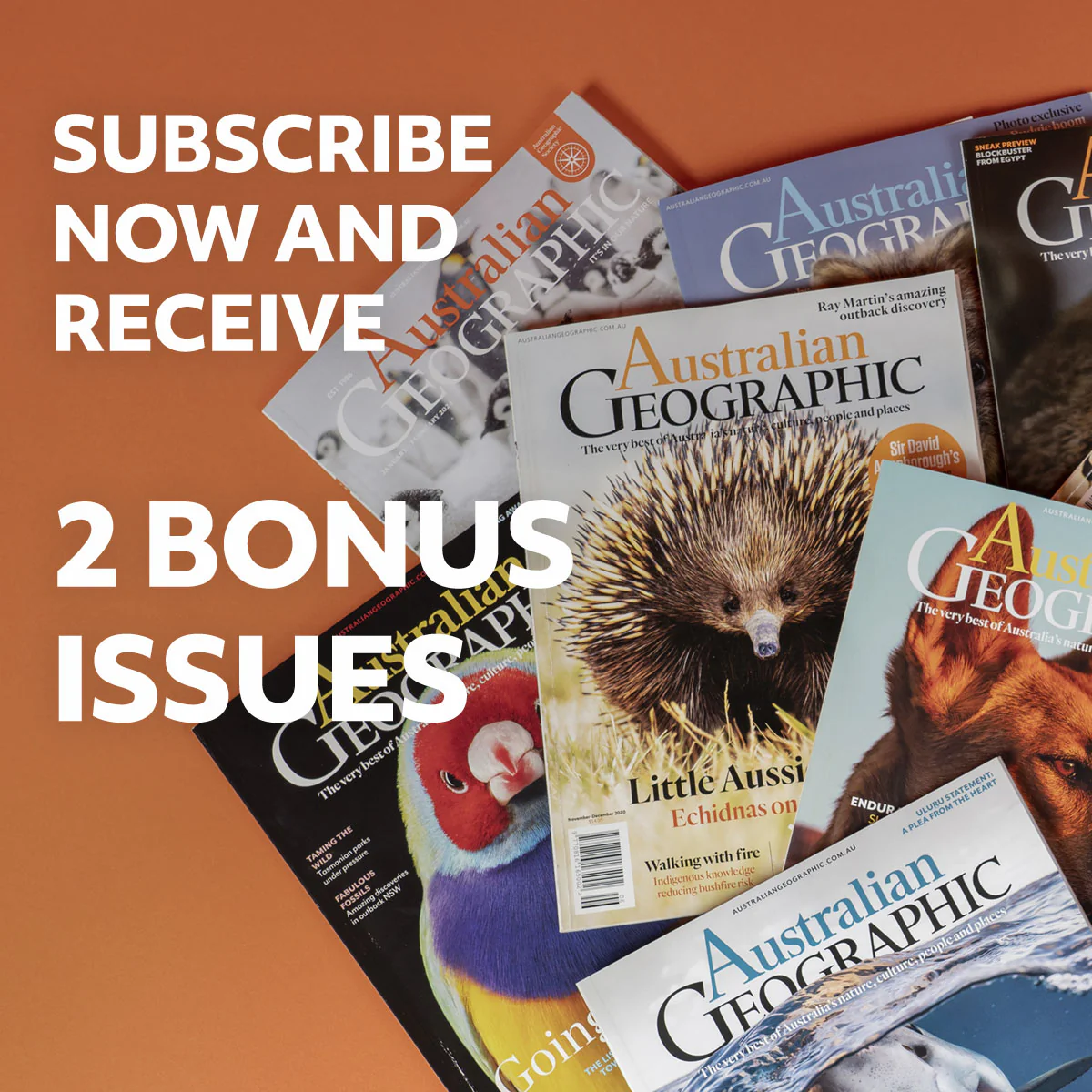 Australian Geographic 1 Year (6 PLUS 2 BONUS ISSUES) Gift Subscription + Australia's Best 100 Walks Book - Image 2