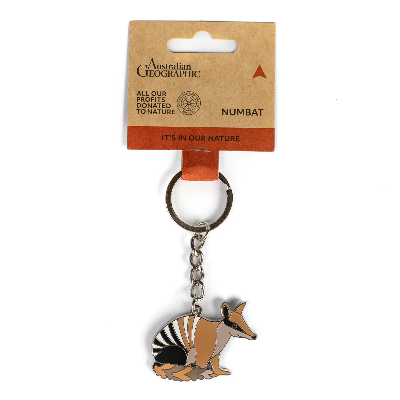 Australian Geographic Numbat Keyring - Image 3