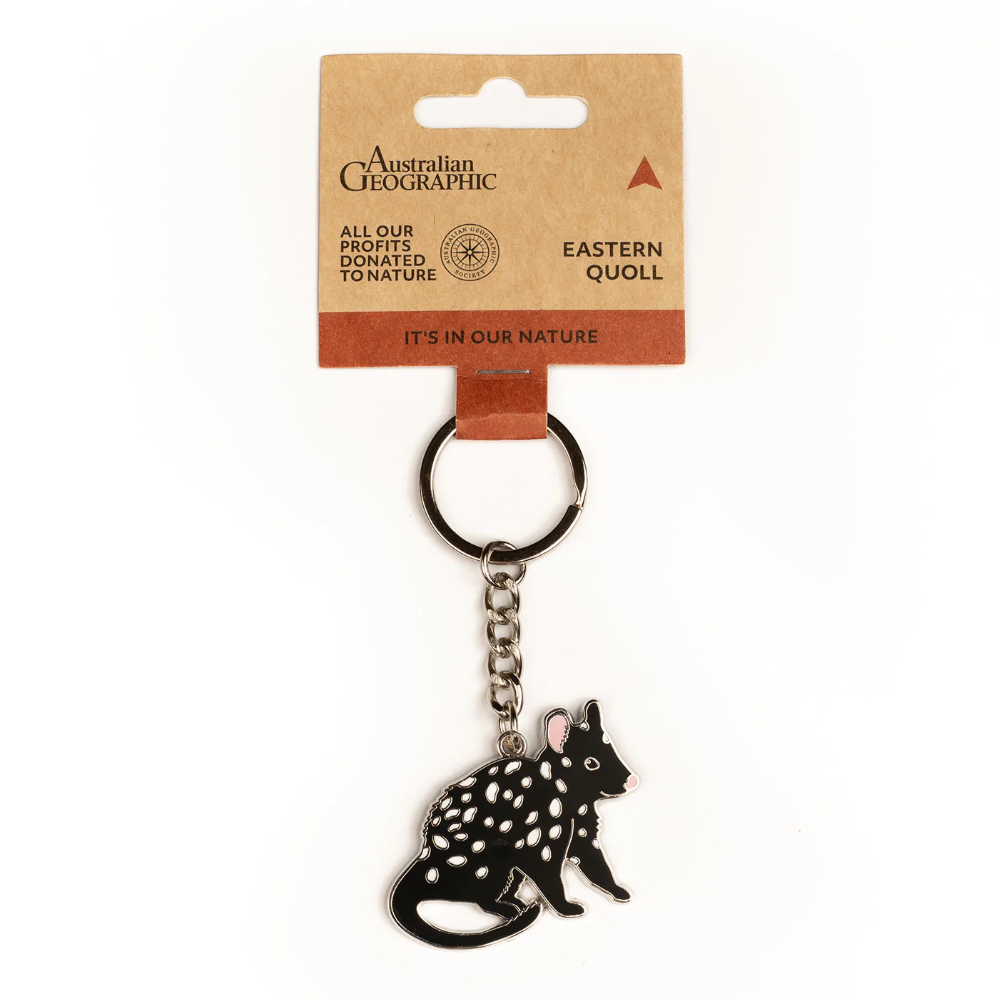 Australian Geographic Quoll Keyring - Image 3