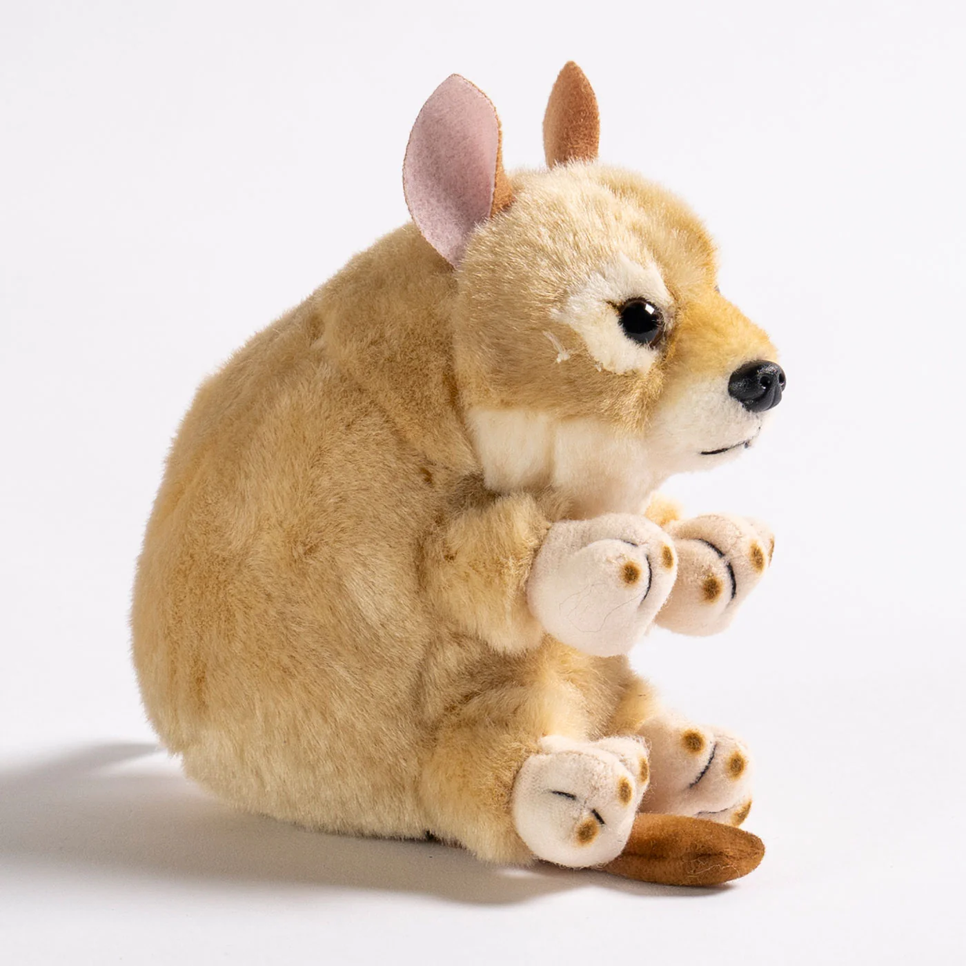 Baby Handfuls Dingo Pup Soft Toy - Image 2