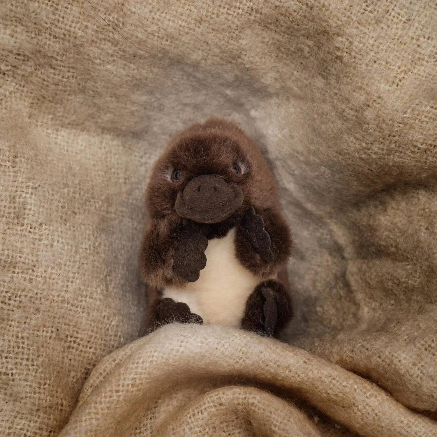 Baby Handfuls Platypus Soft Toy - Image 5