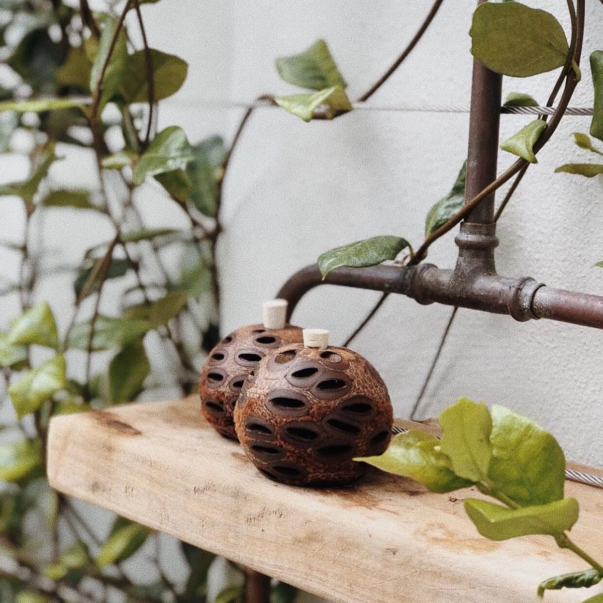 Banksia Mini Aroma Pod Diffuser - Image 2