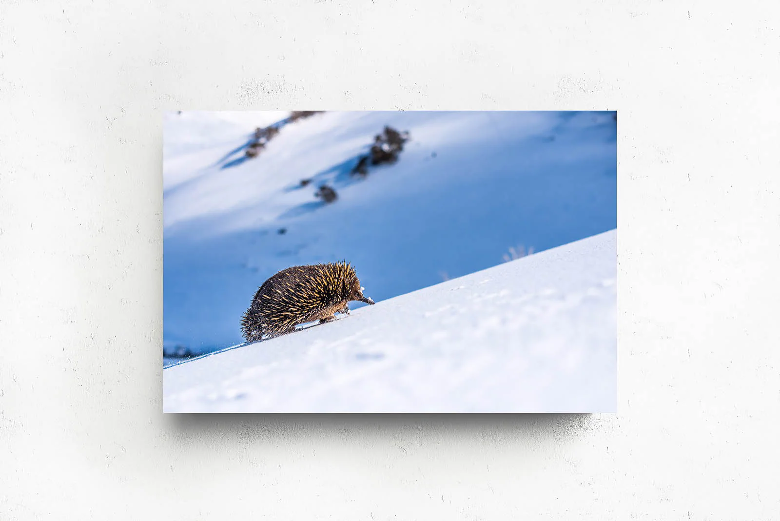 Big Hill, Little Legs' by Charles Davis - Image 2