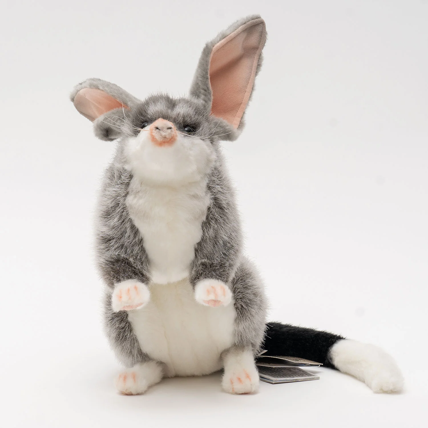 Hansa Bilby - Image 3