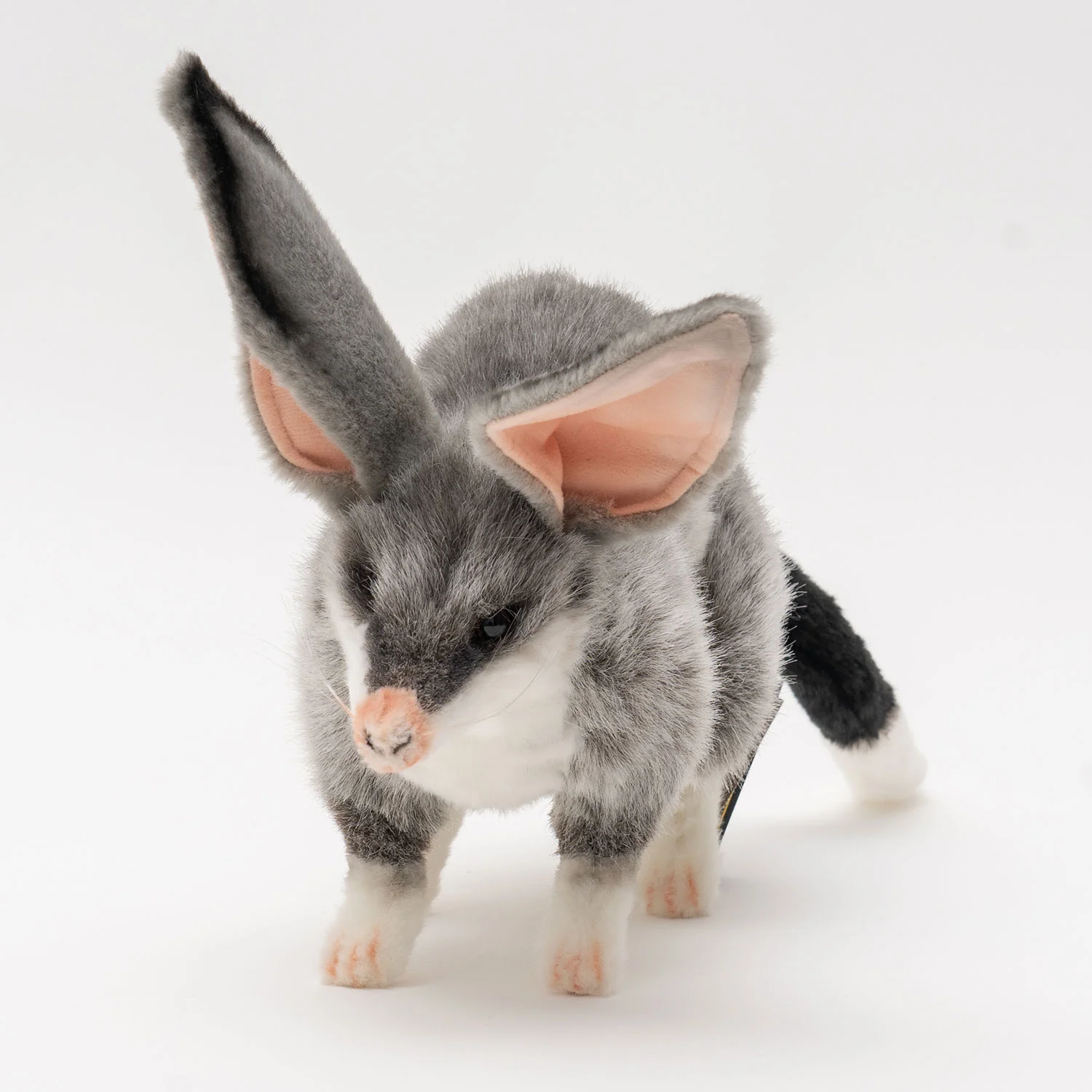Hansa Bilby - Image 5