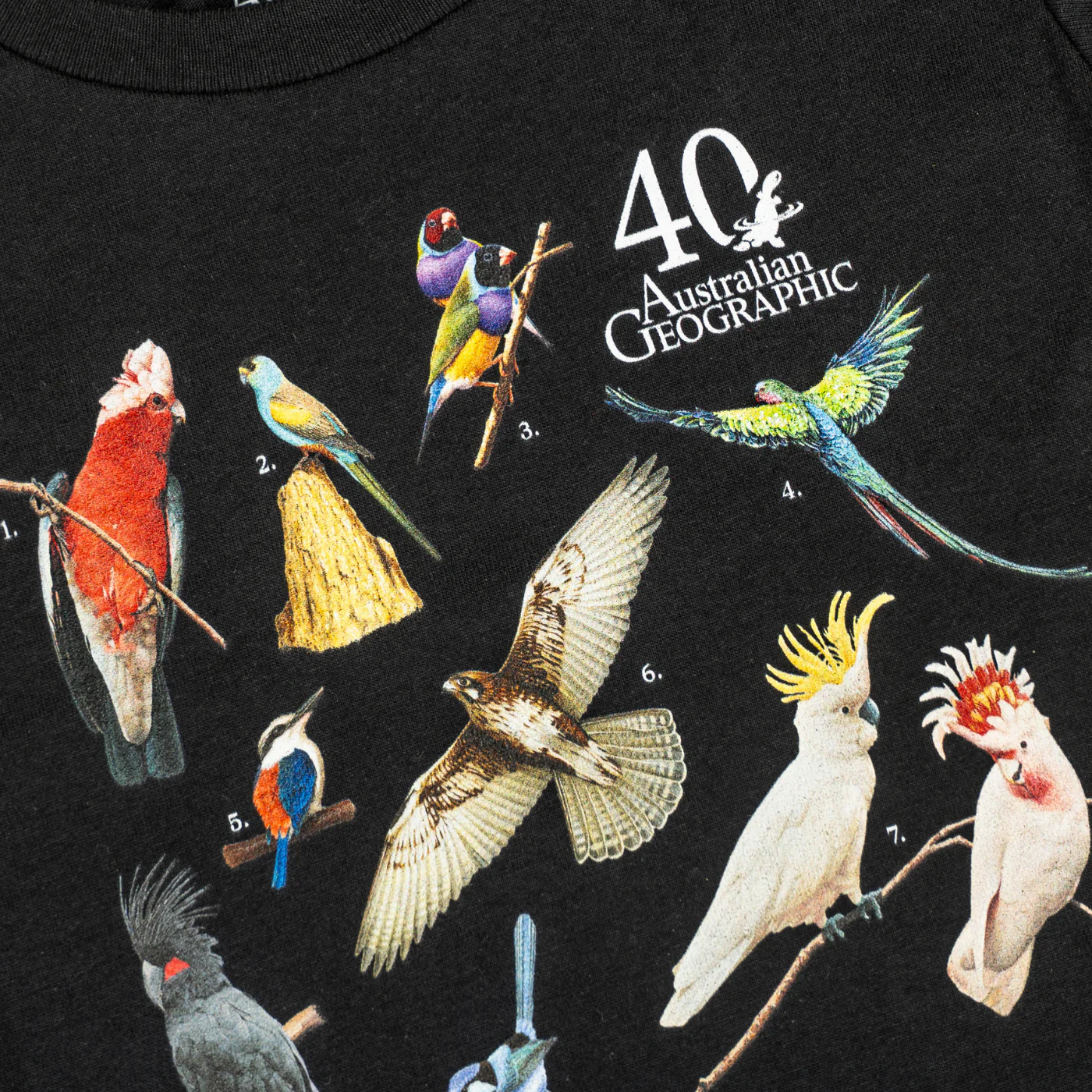 Birds of Australia Youth Black T-Shirt - Australian Geographic 40th Anniversary - Image 2