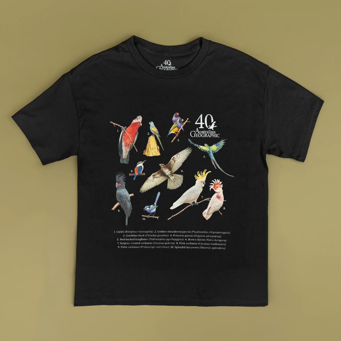 Birds of Australia Youth Black T-Shirt - Australian Geographic 40th Anniversary - Image 3