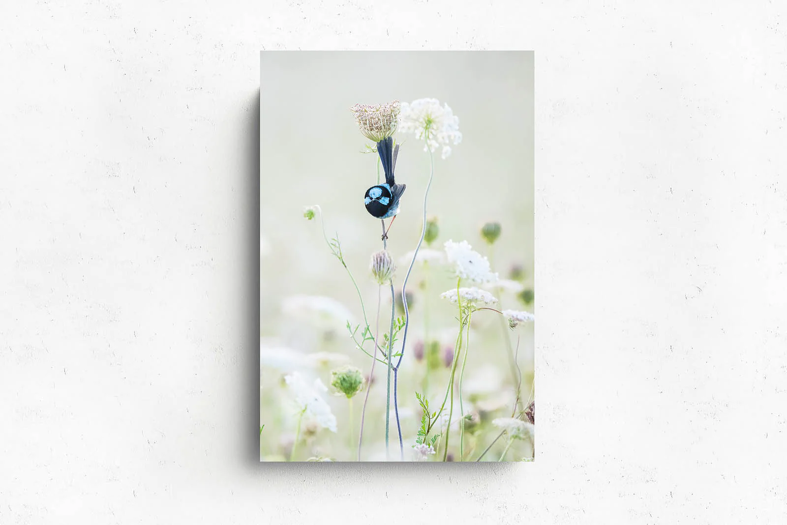 Blue Flower' by Charles Davis - Image 2