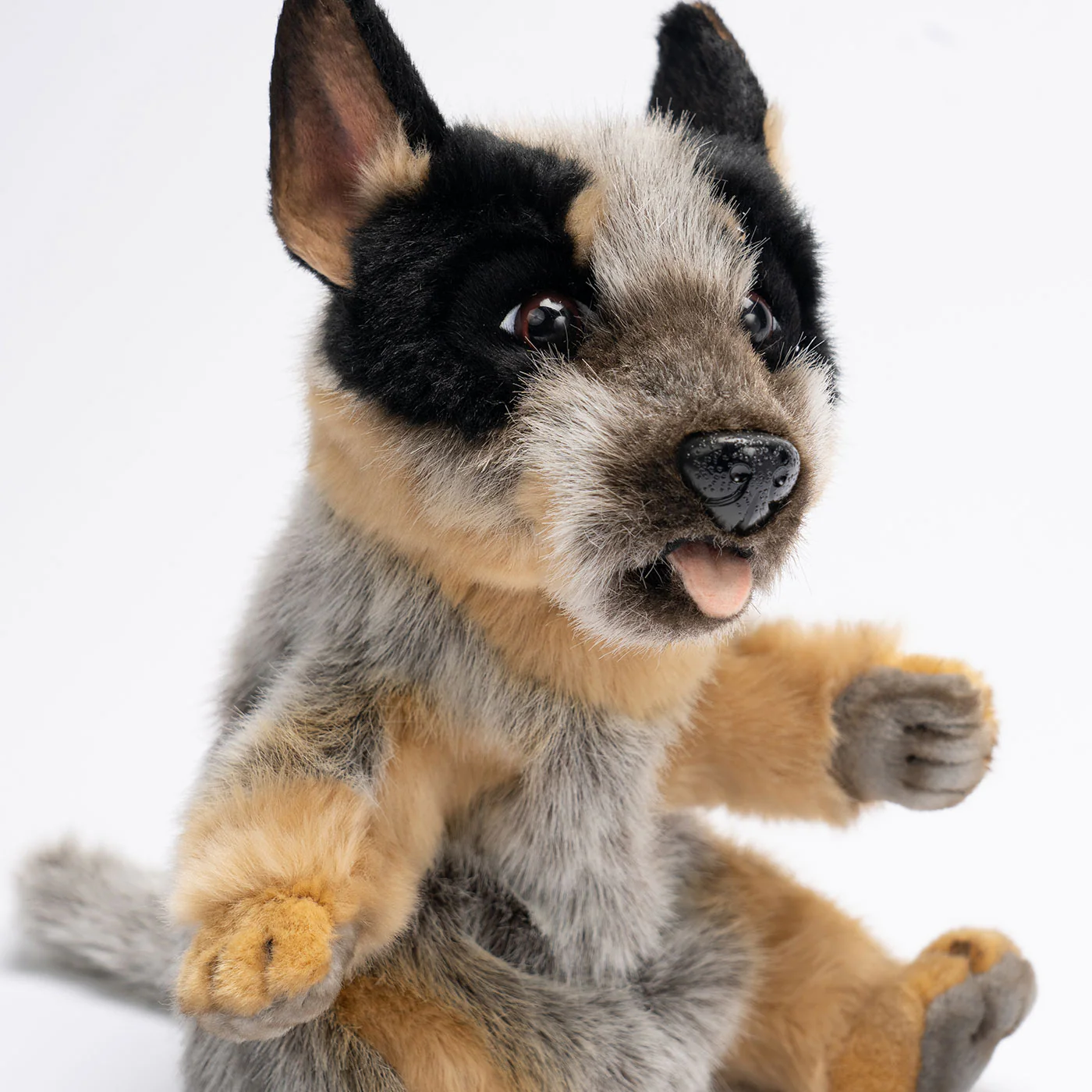 Hansa Blue Heeler Puppy Puppet - Image 2