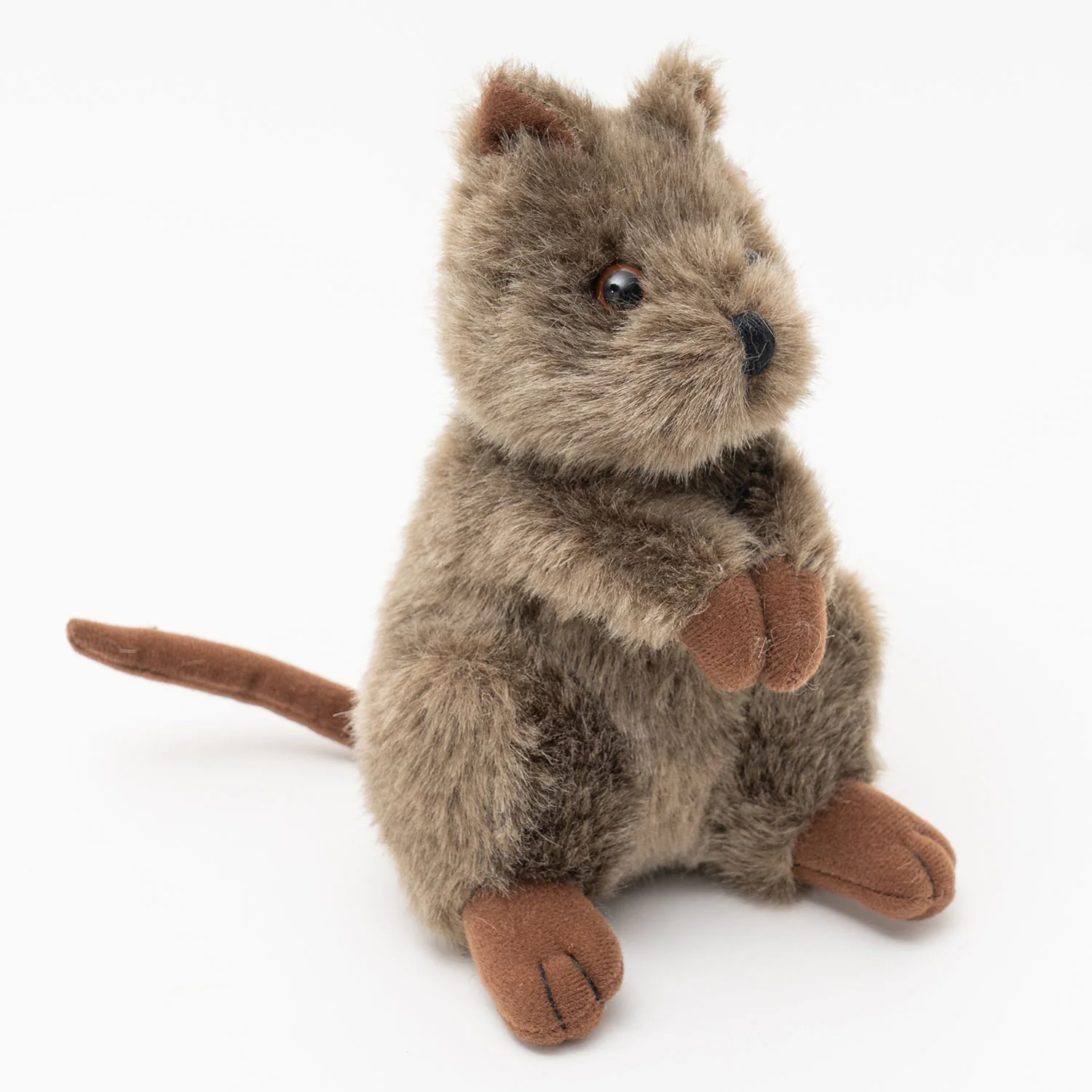 Chuckles The Quokka - Image 3