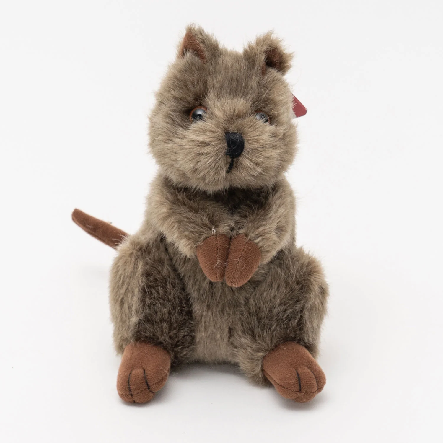 Chuckles The Quokka - Image 4