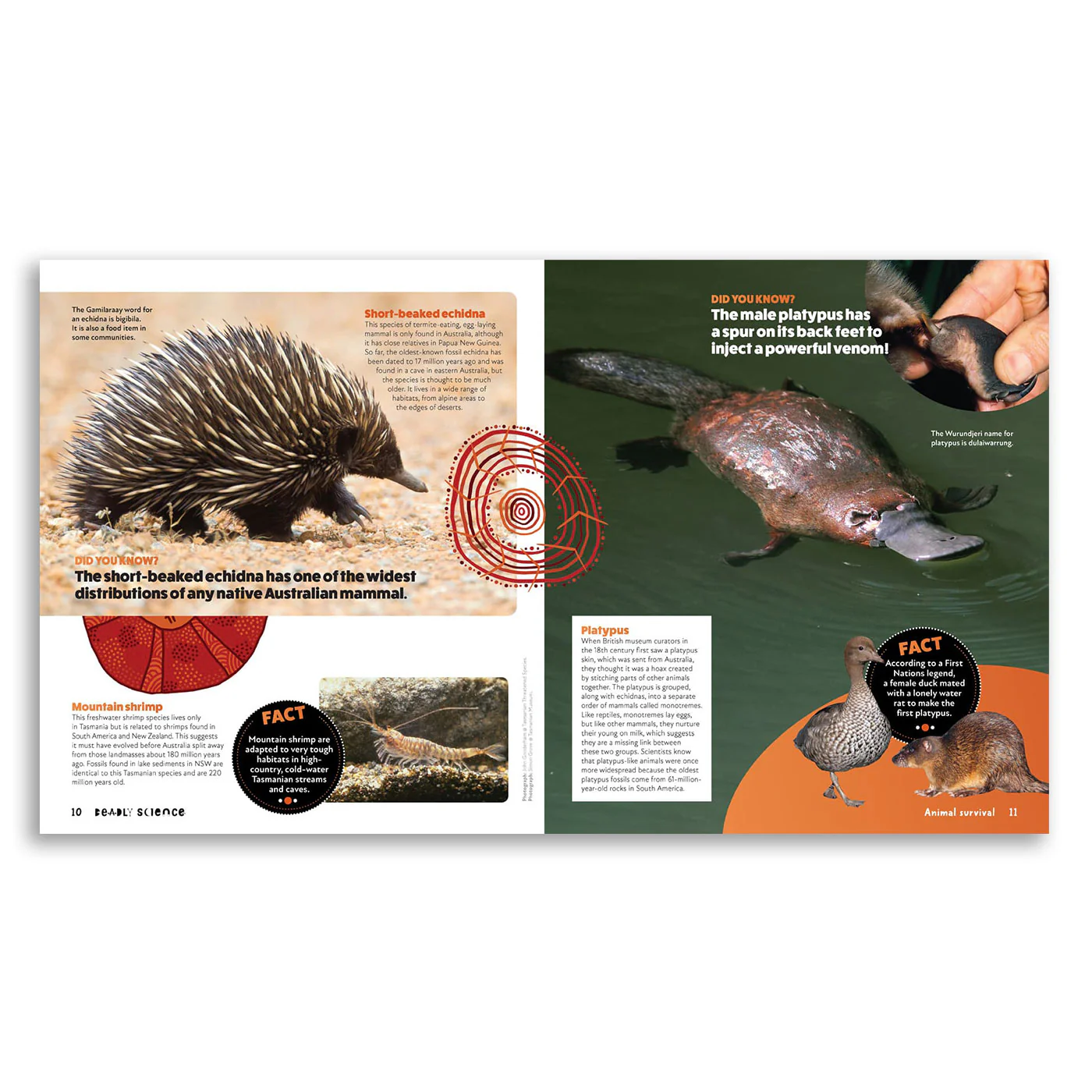 Deadly Science: Animal Survival - Image 3