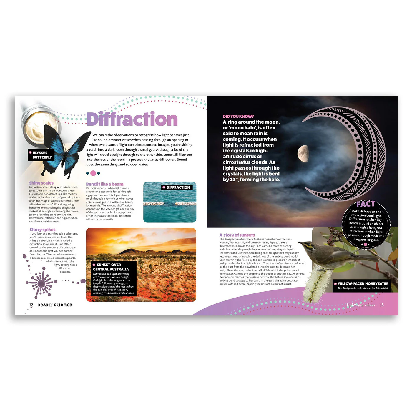 Deadly Science: Light and Colour - Image 4
