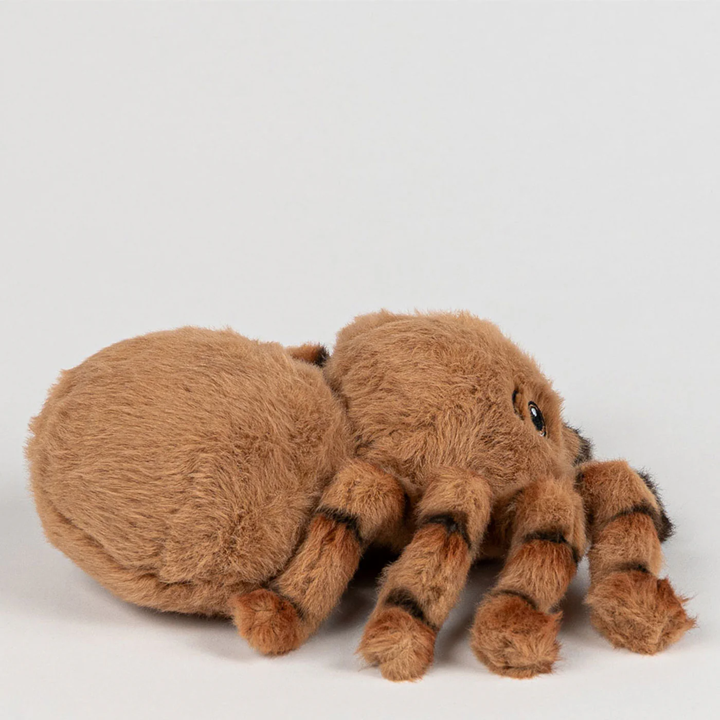 Eco Bub Harry the Huntsman Spider - Image 3