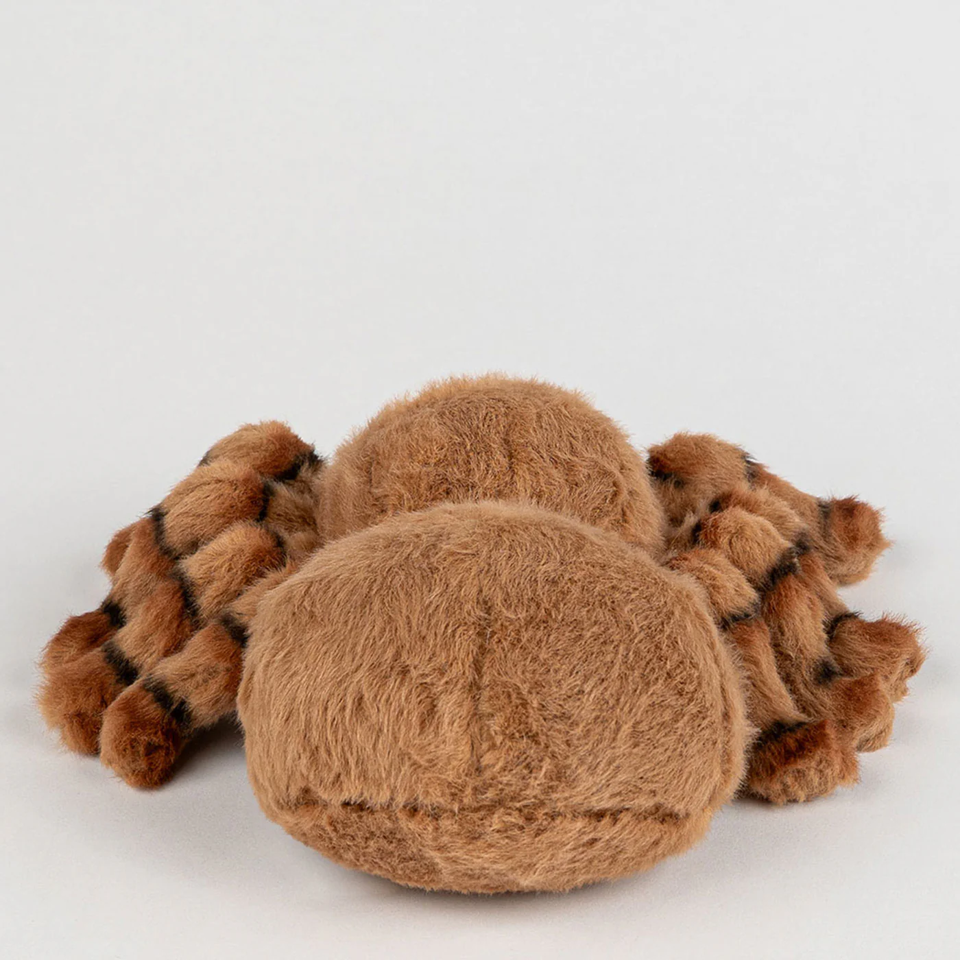 Eco Bub Harry the Huntsman Spider - Image 4