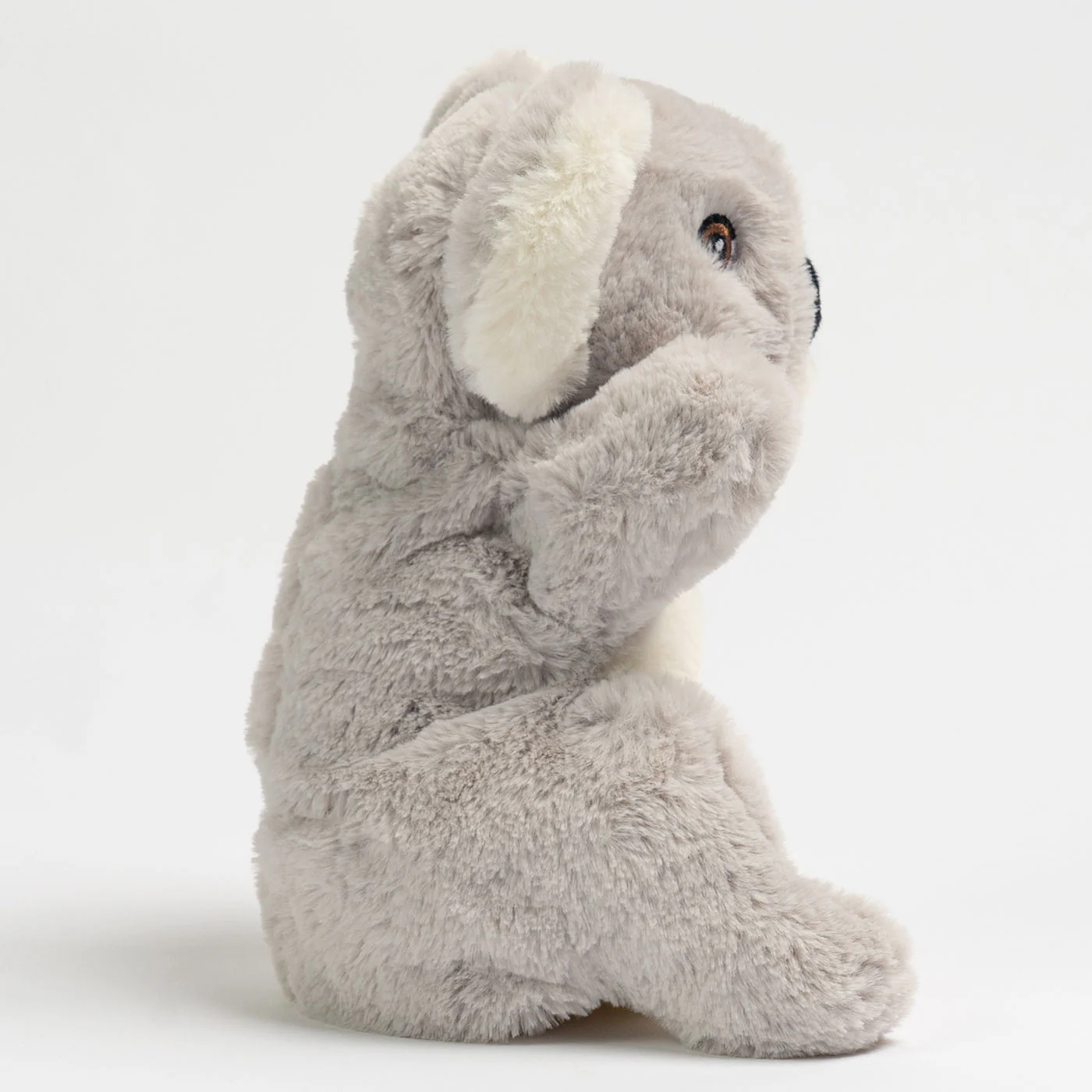 Eco Buddies Koala Puppet - 25cm - Image 5
