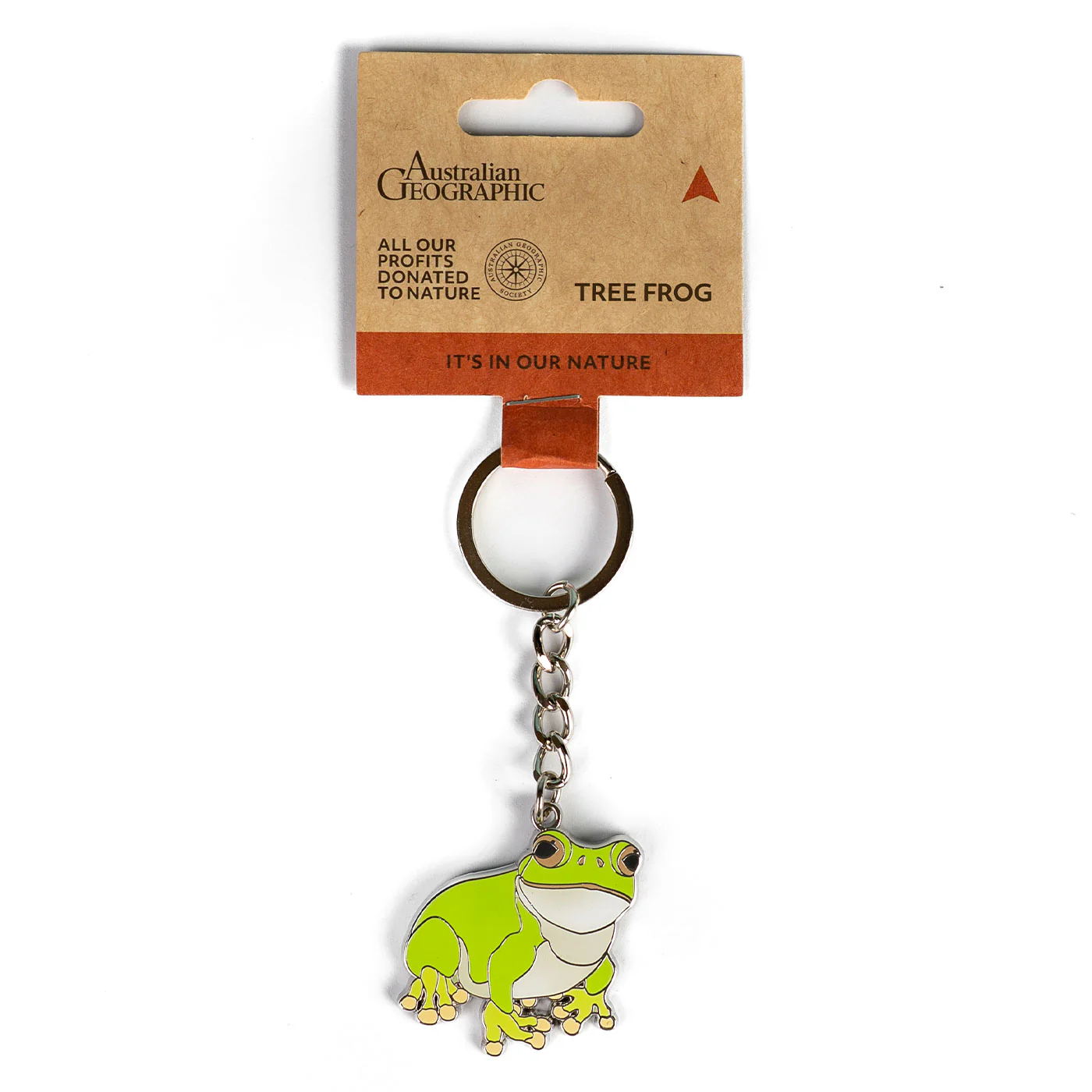 Fantastic Frogs Gift Bundle - Image 3