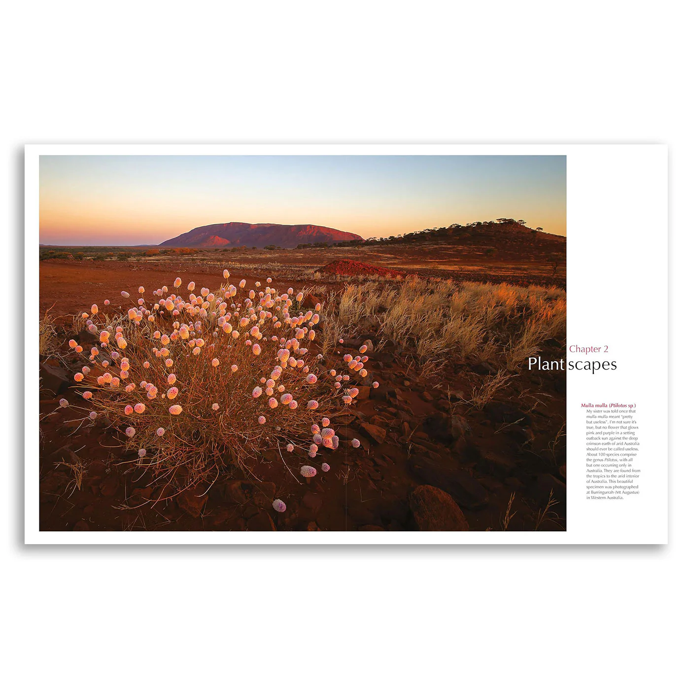 For the Love of Flora Book - Image 3
