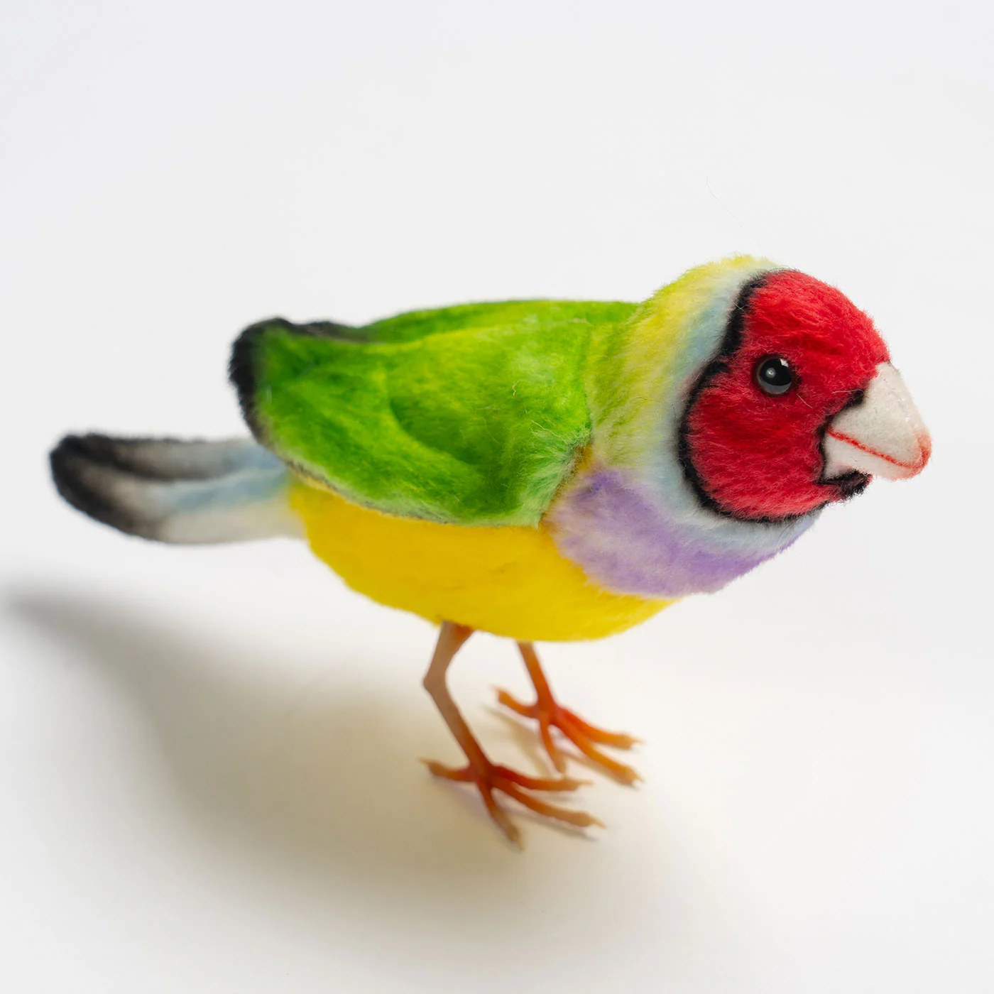 Hansa Gouldian Finch - 13cm