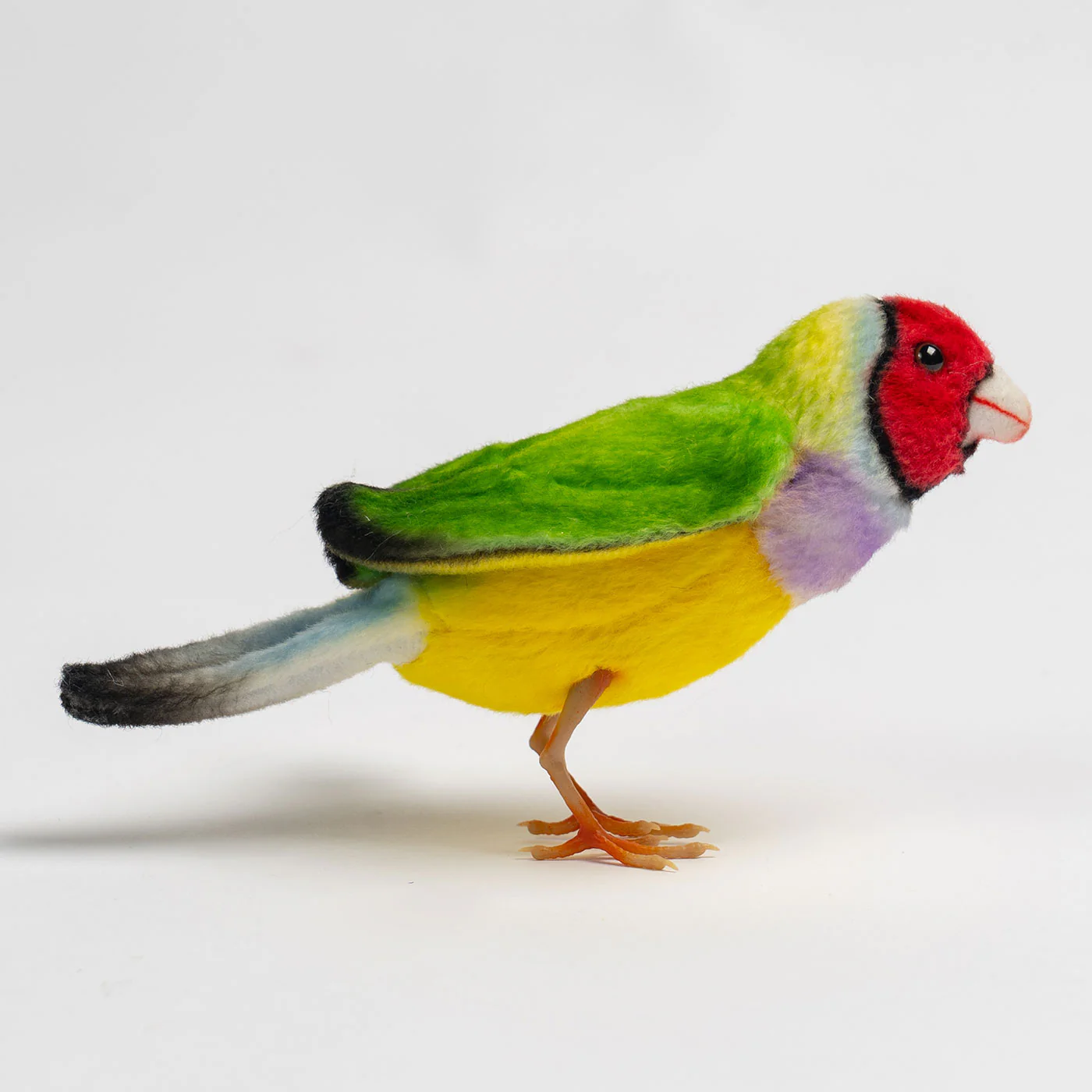Hansa Gouldian Finch - 13cm - Image 2