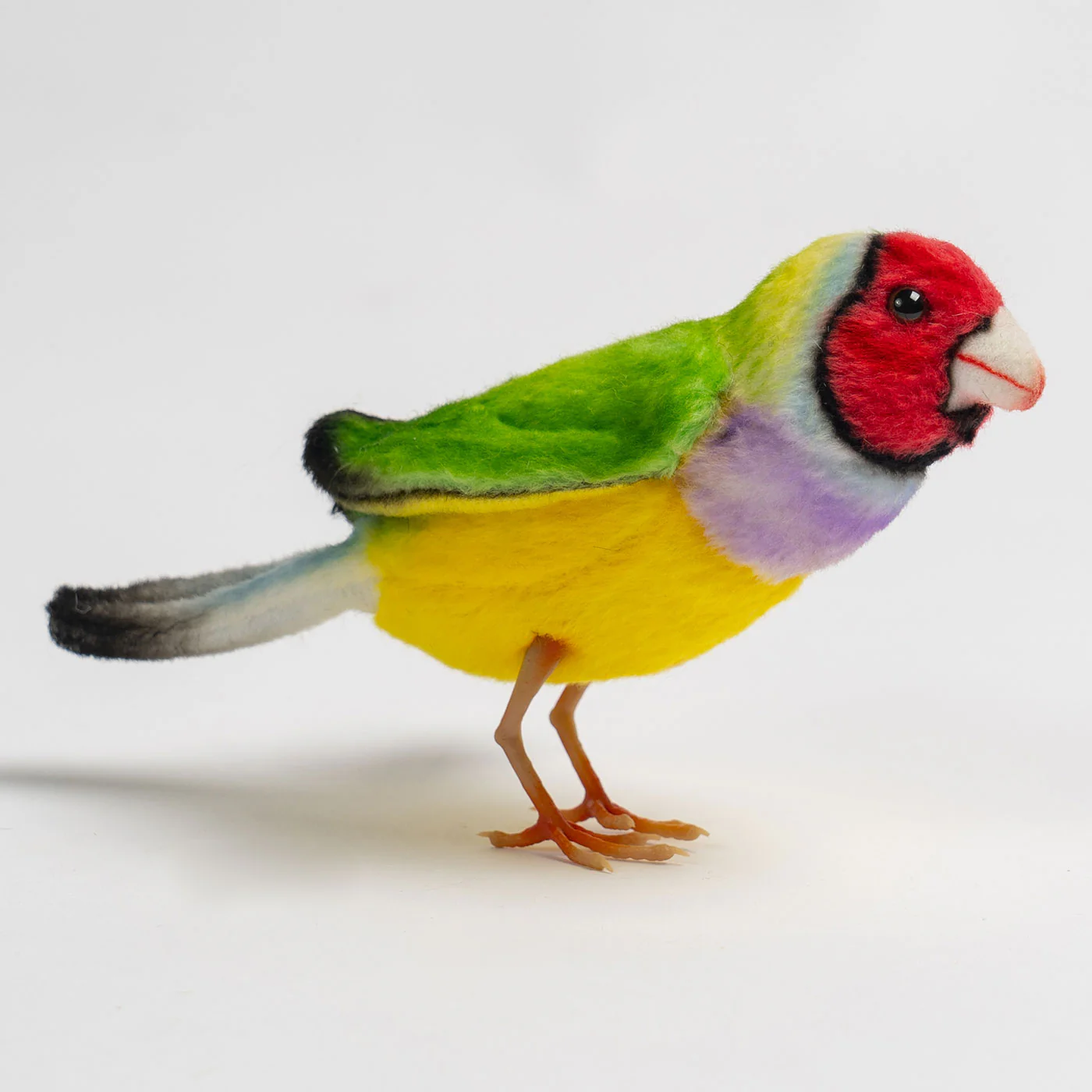 Hansa Gouldian Finch - 13cm - Image 3