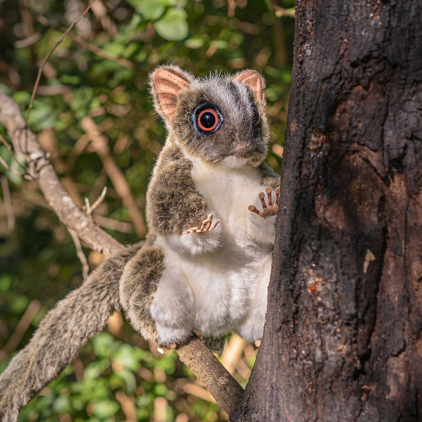 Hansa Sugar Glider - Standing 22cm - Image 2