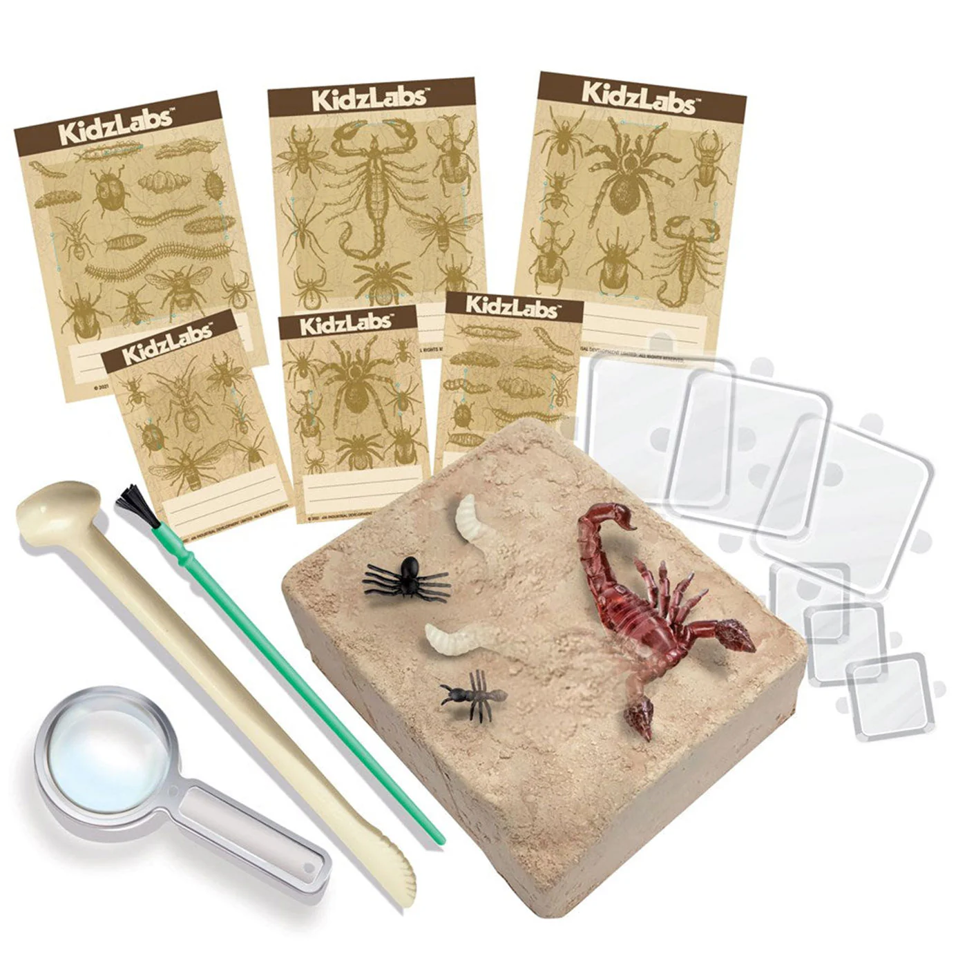 4M: KidzLabs - Creepy Crawly Digging Kit - Image 2