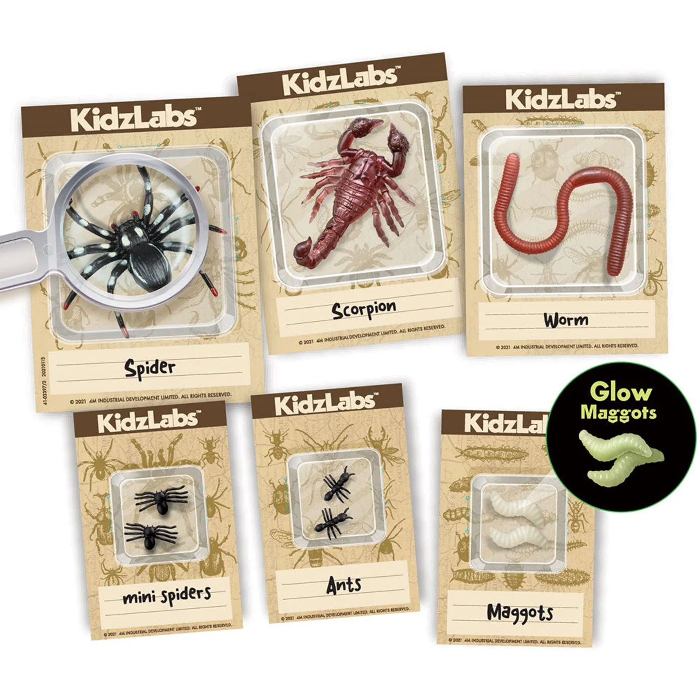 4M: KidzLabs - Creepy Crawly Digging Kit - Image 3
