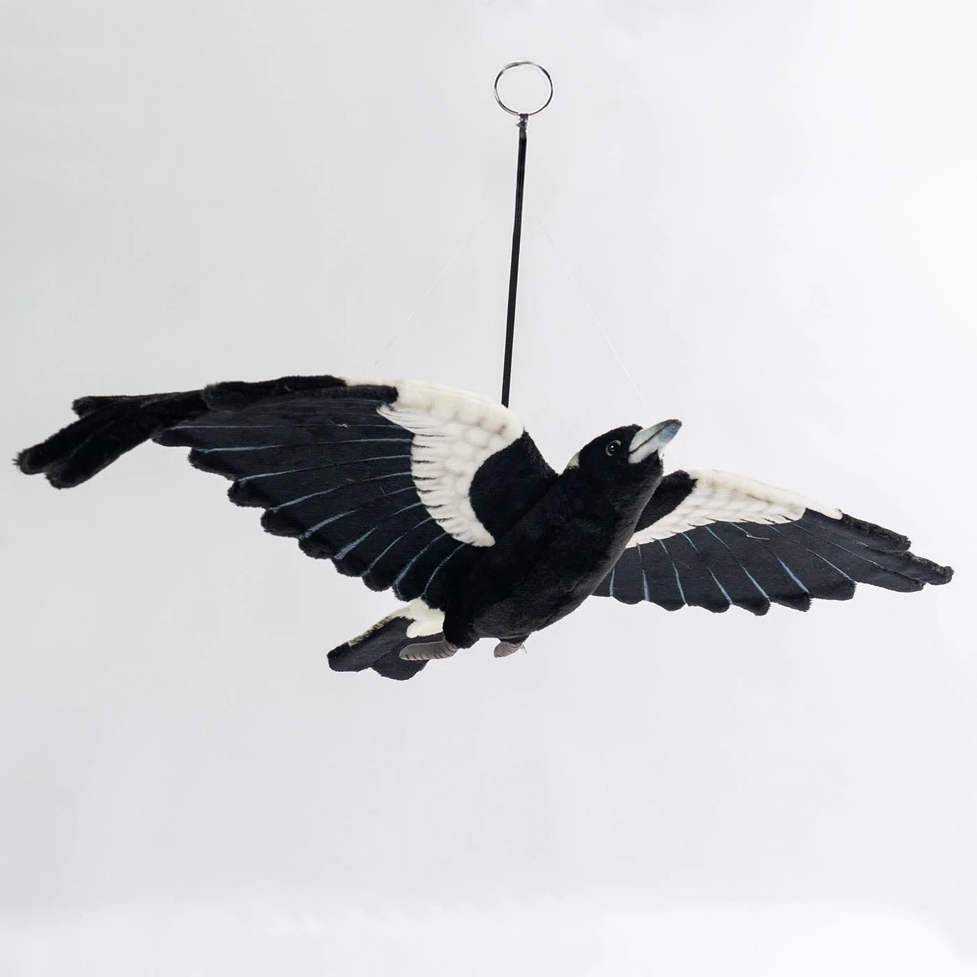 Hansa Magpie Flying