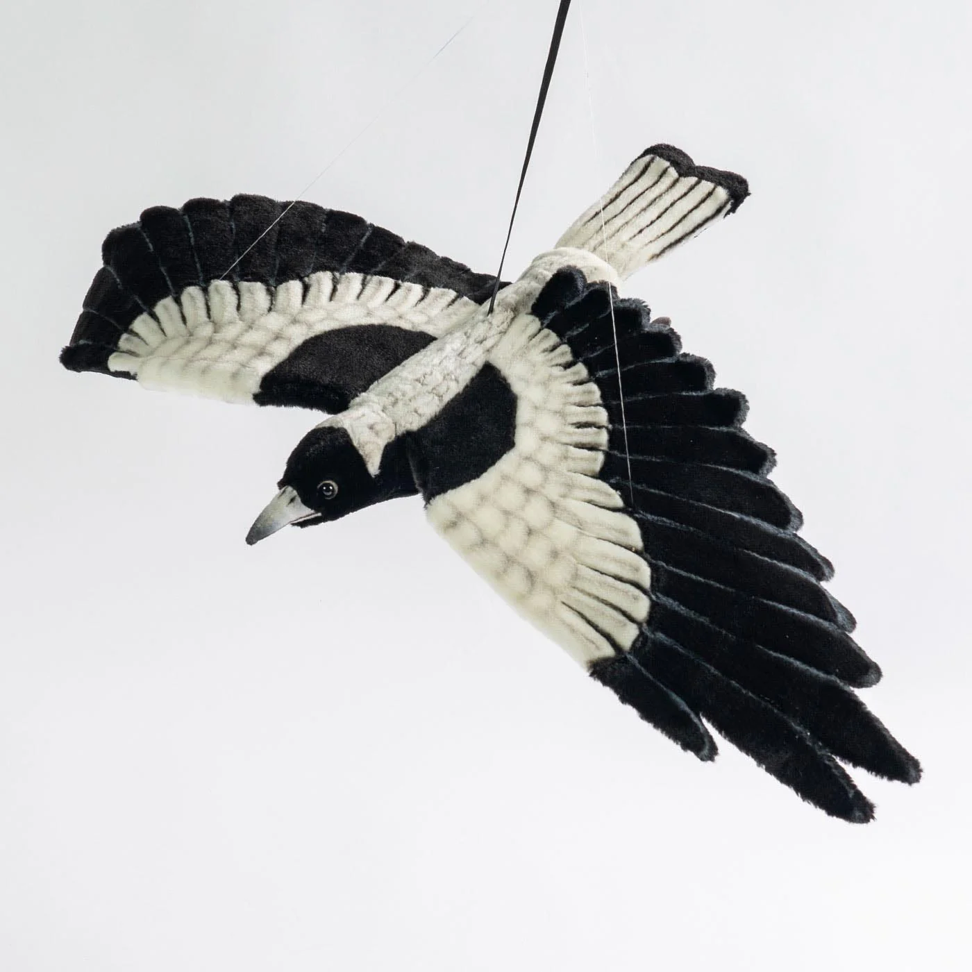 Hansa Magpie Flying - Image 2