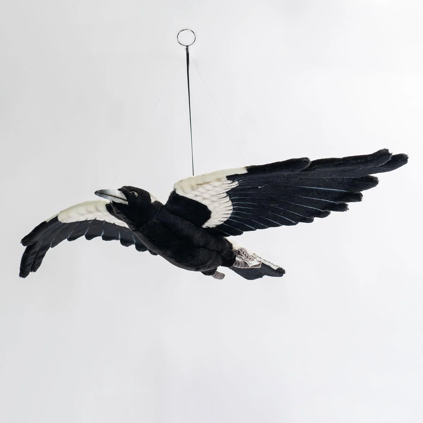 Hansa Magpie Flying - Image 3