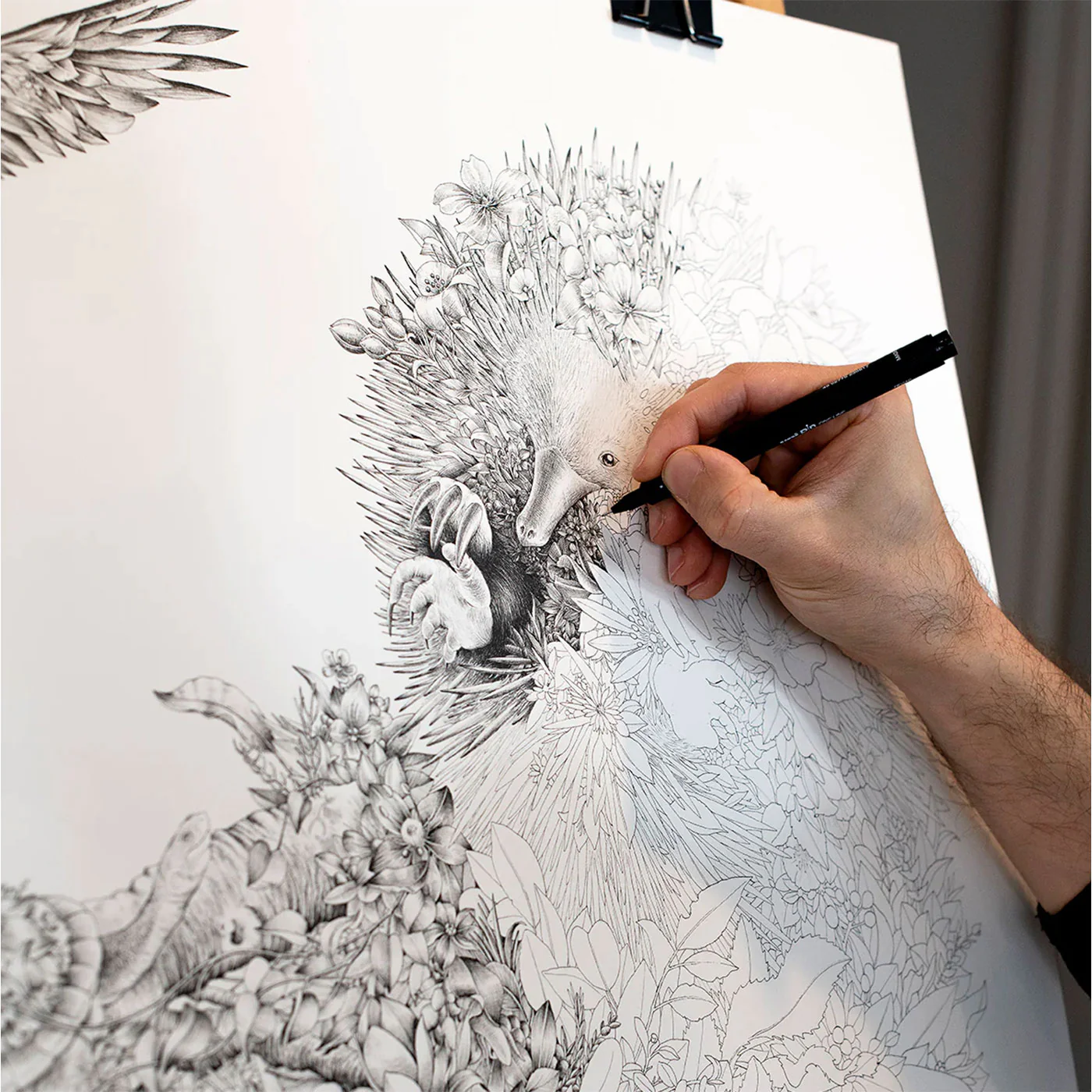 Marini Ferlazzo Organic Cotton Tea Towel Echidna Bushwalk - Image 4
