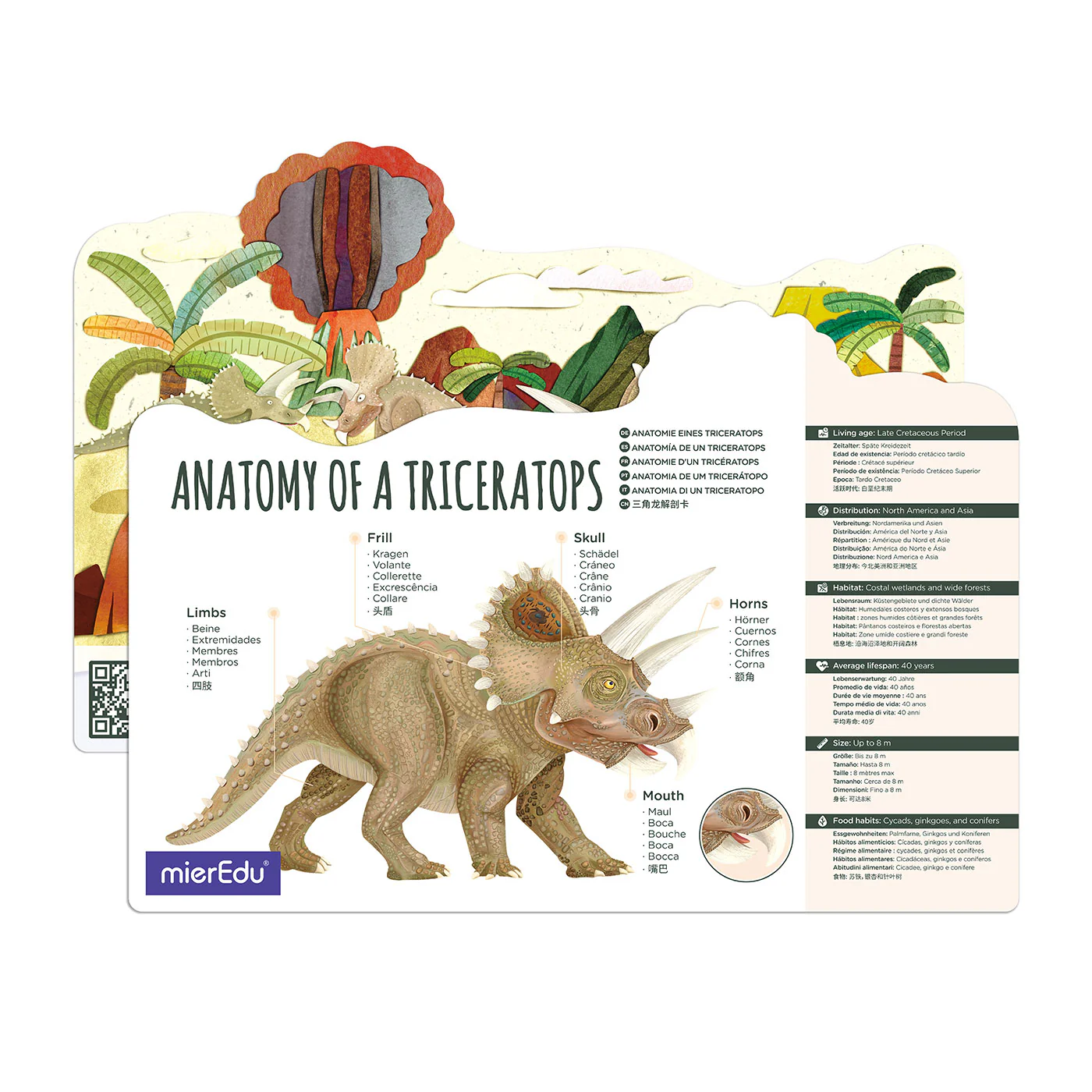 mierEdu: Adjustable 3D Puzzle - Triceratops Deluxe - Image 3