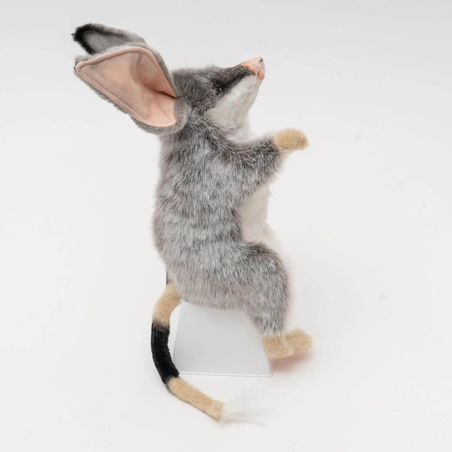 Hansa Bilby Puppet - Image 4