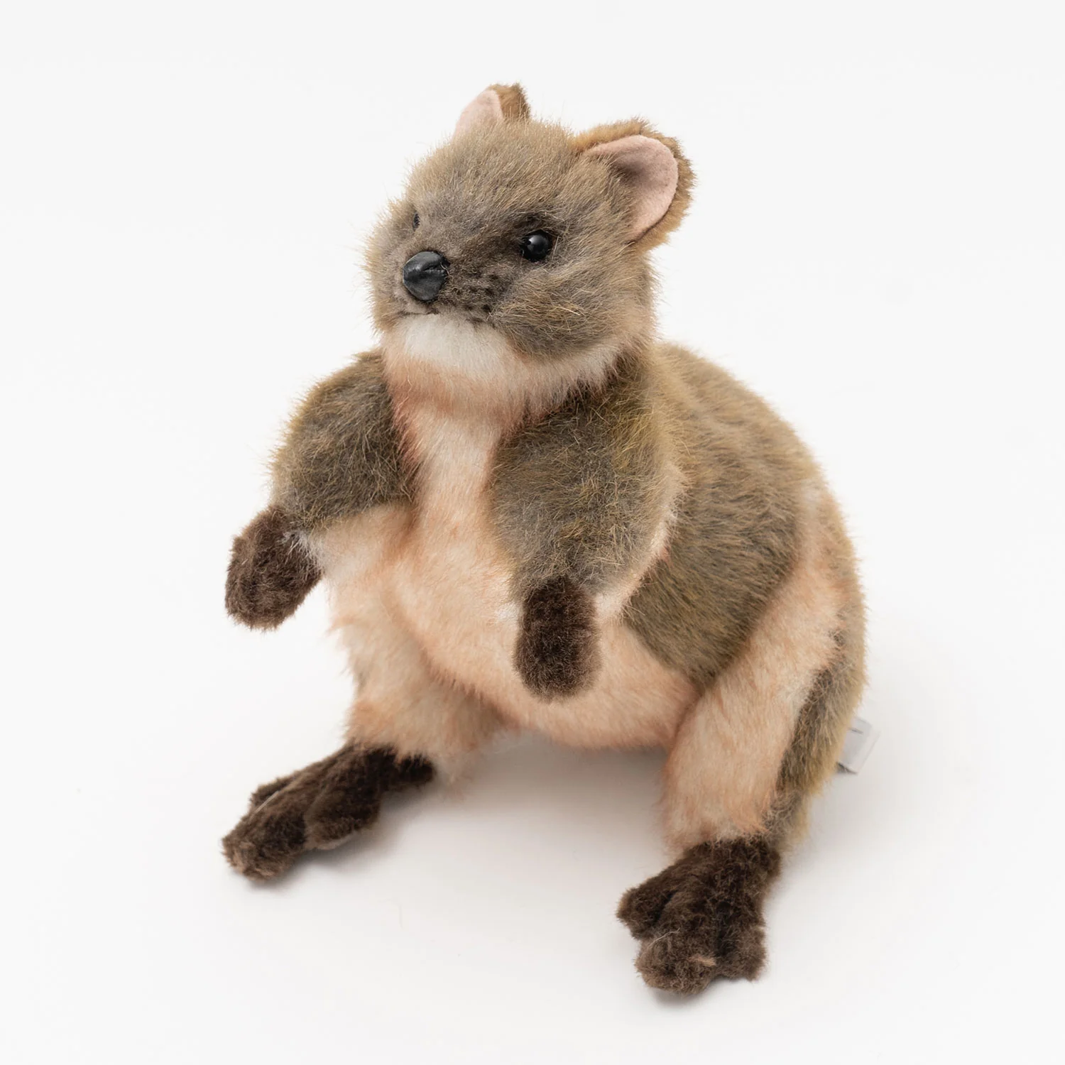 Hansa Quokka - Image 3