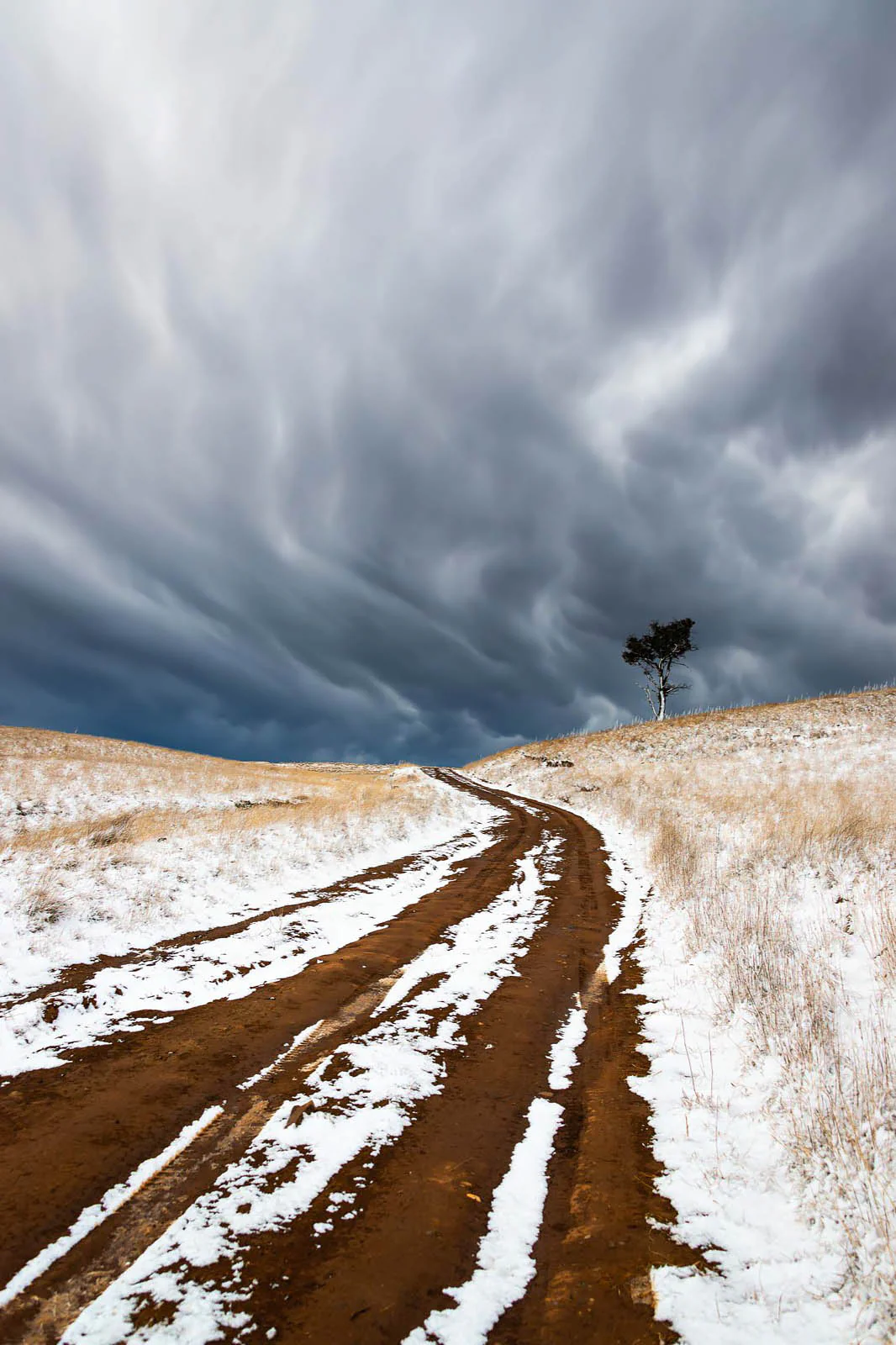 Snow Road' by Charles Davis