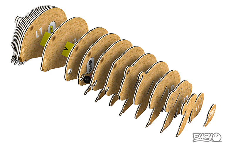 Wombat 3D Puzzle - by EUGY - Image 5