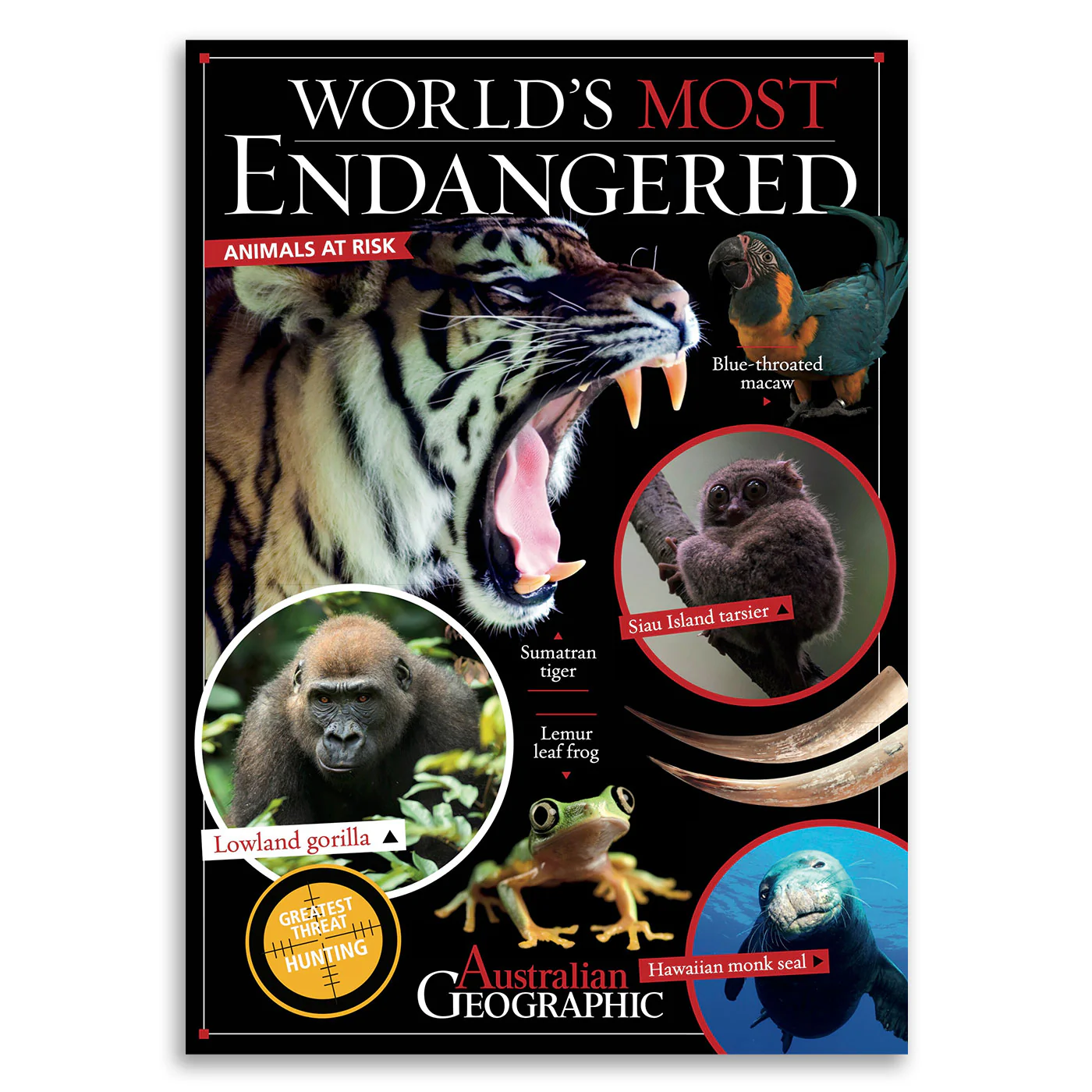 World's Most Endangered