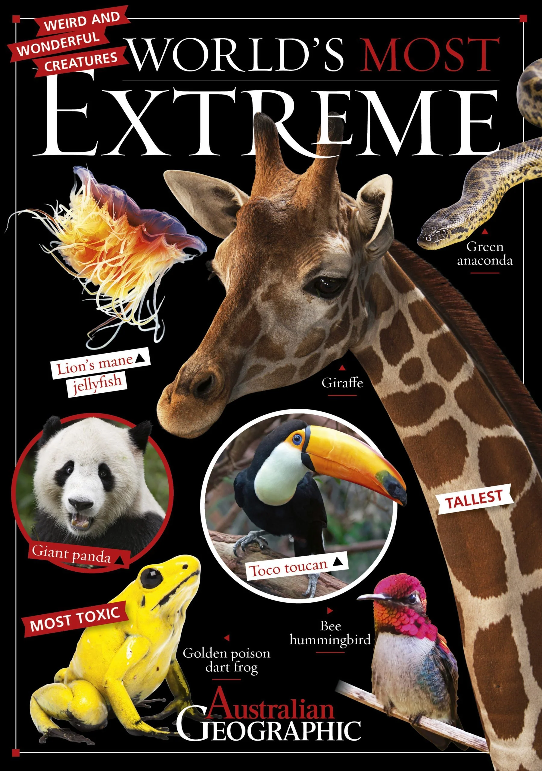 World's Most Extreme