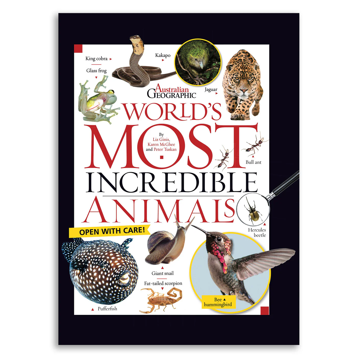 World's Most Incredible Animals